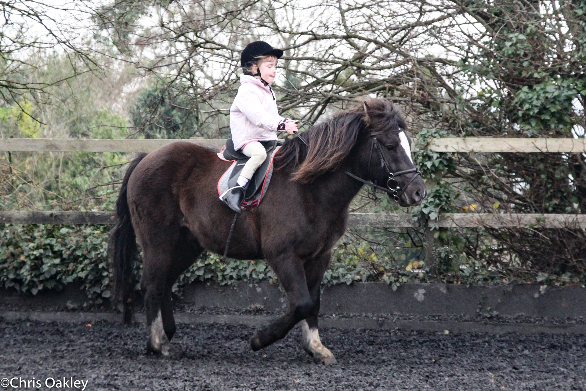 Ellie Oakley Equestrian - The Early Days