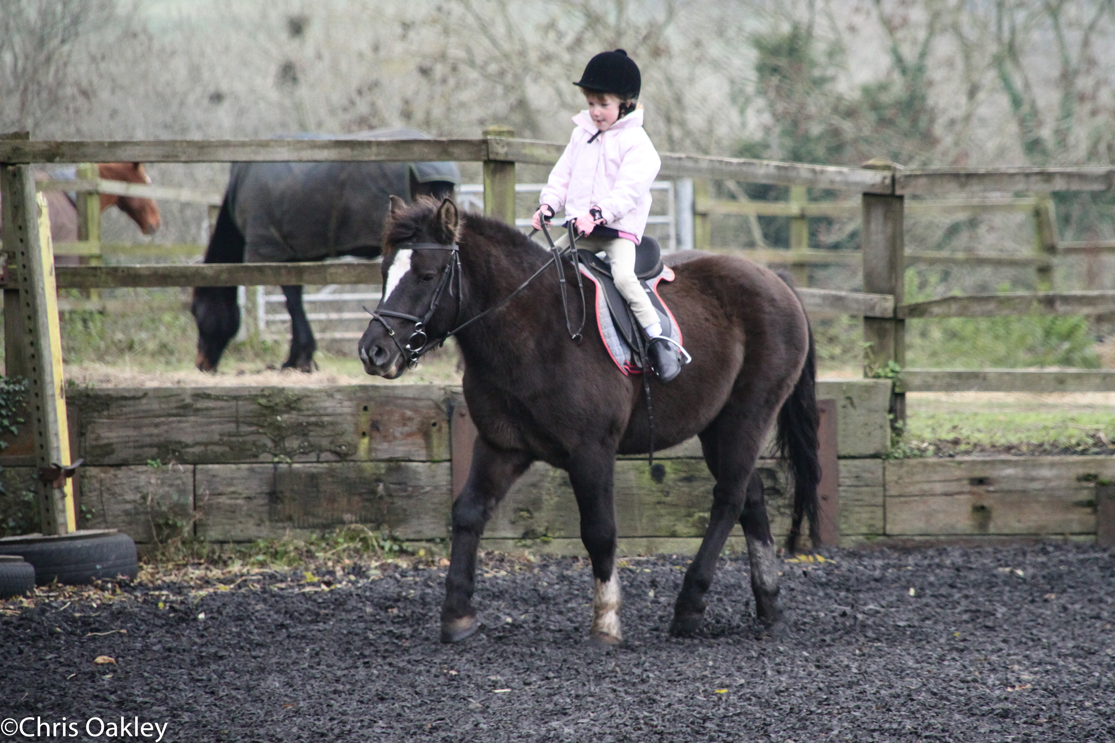 Ellie Oakley Equestrian - The Early Days