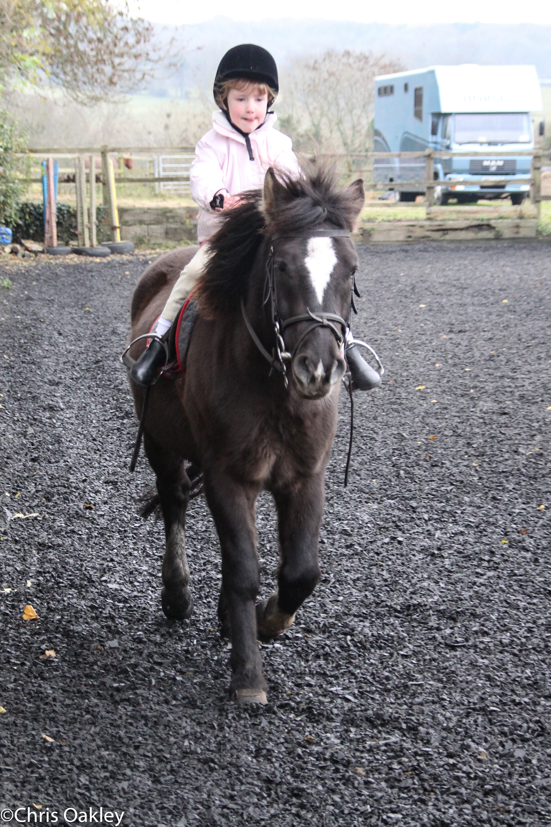 Ellie Oakley Equestrian - The Early Days