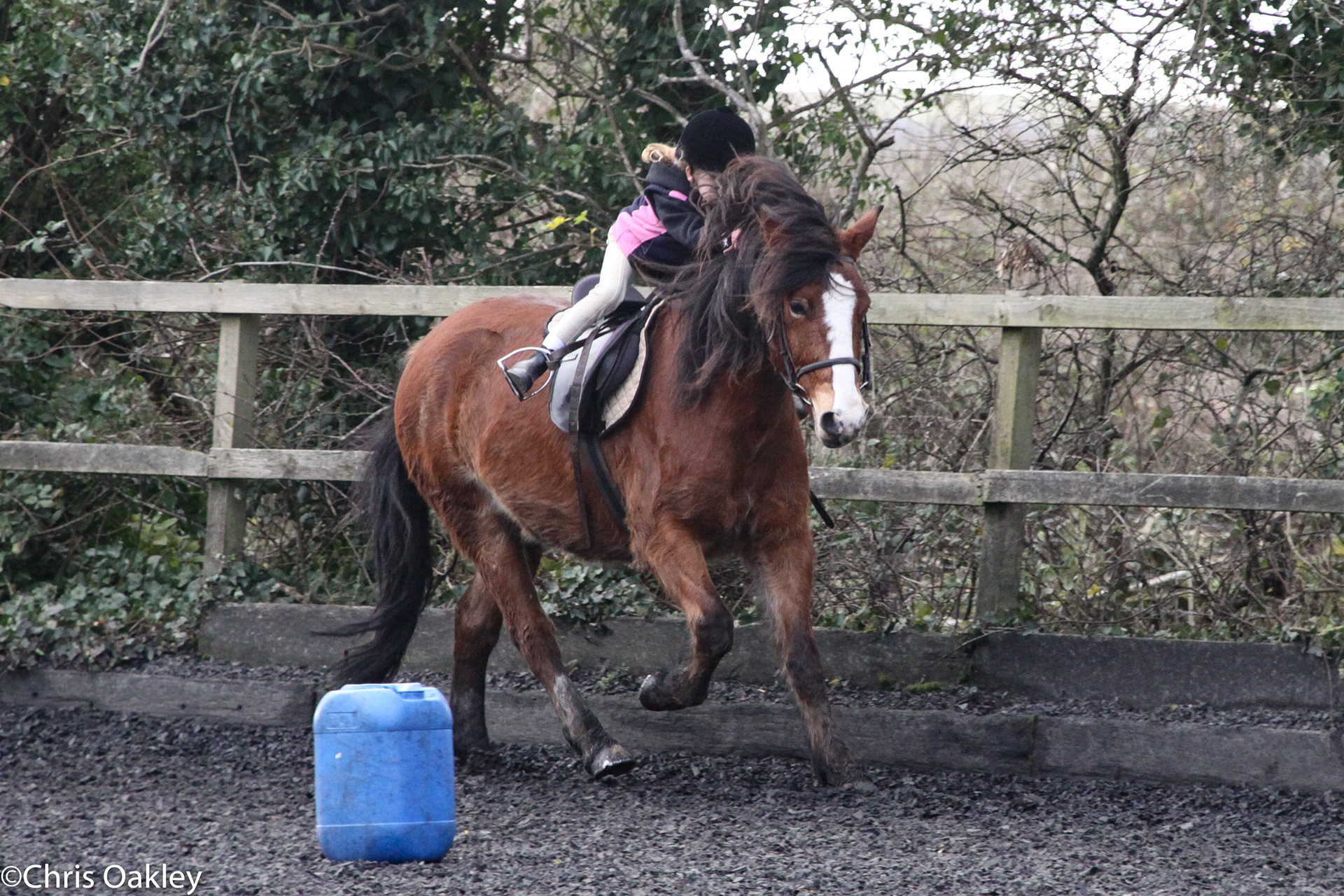 Ellie Oakley Equestrian - The Early Days