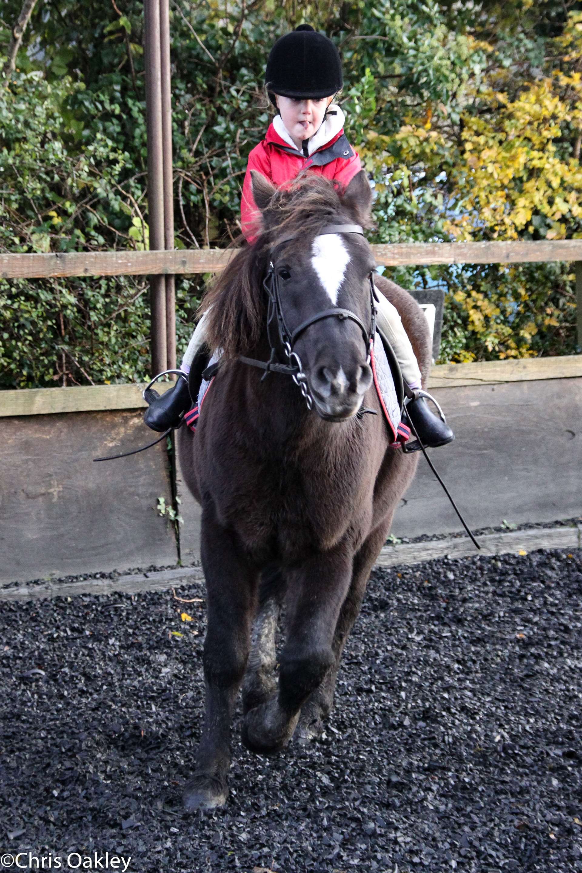 Ellie Oakley Equestrian - The Early Days