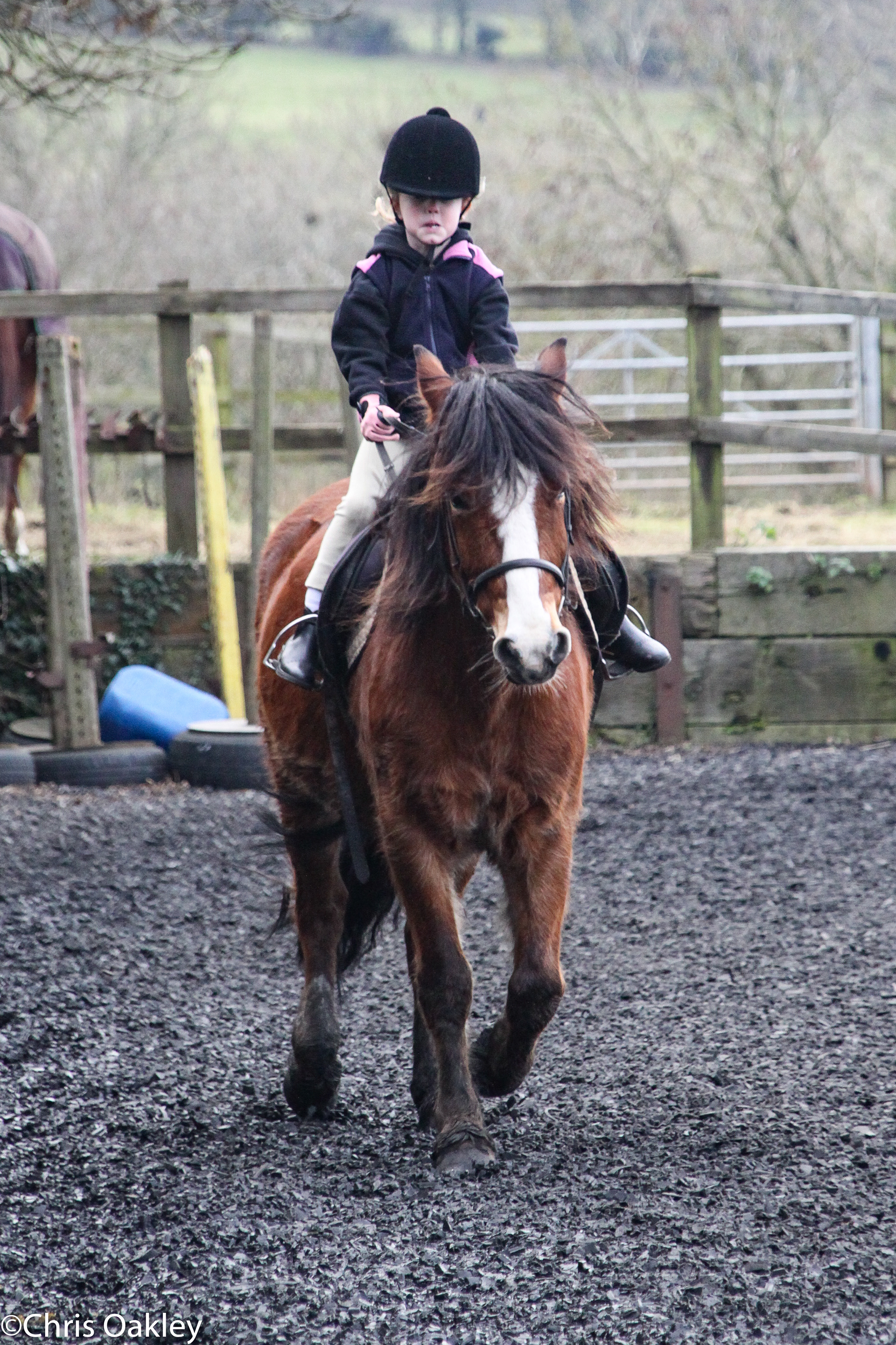 Ellie Oakley Equestrian - The Early Days