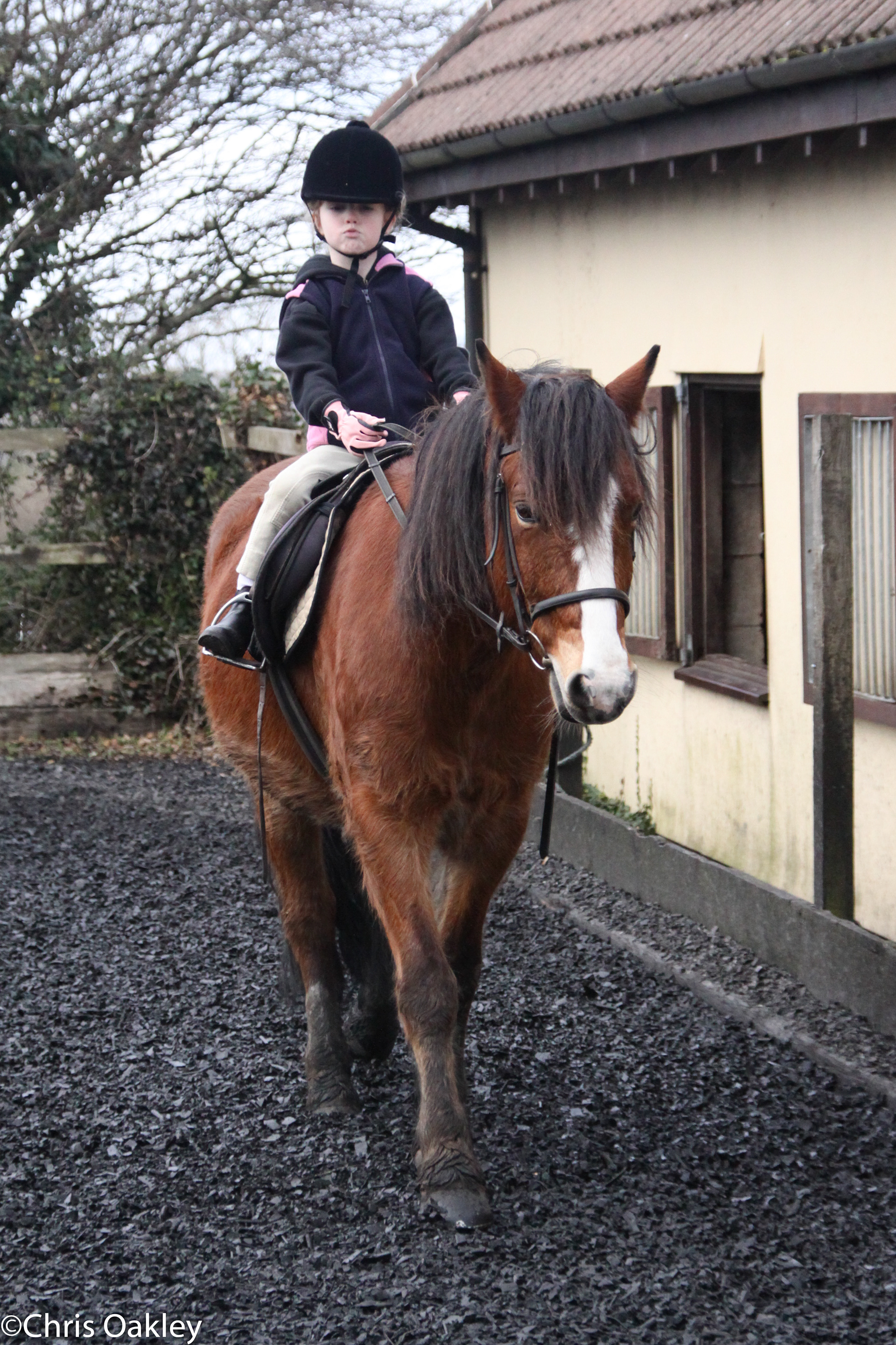 Ellie Oakley Equestrian - The Early Days