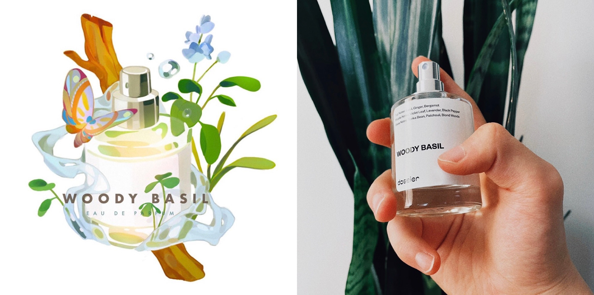 Dossier Perfumes Collab