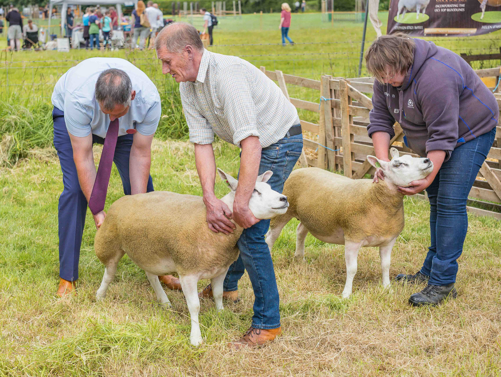 Judging - North Yorkshre UK 2024