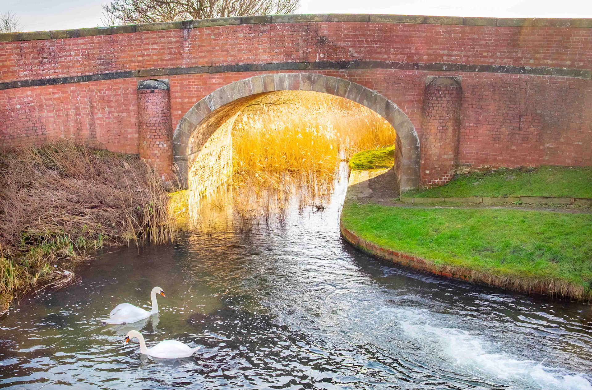 Pocklington Canal in Winter - East Yorkshire UK 2015