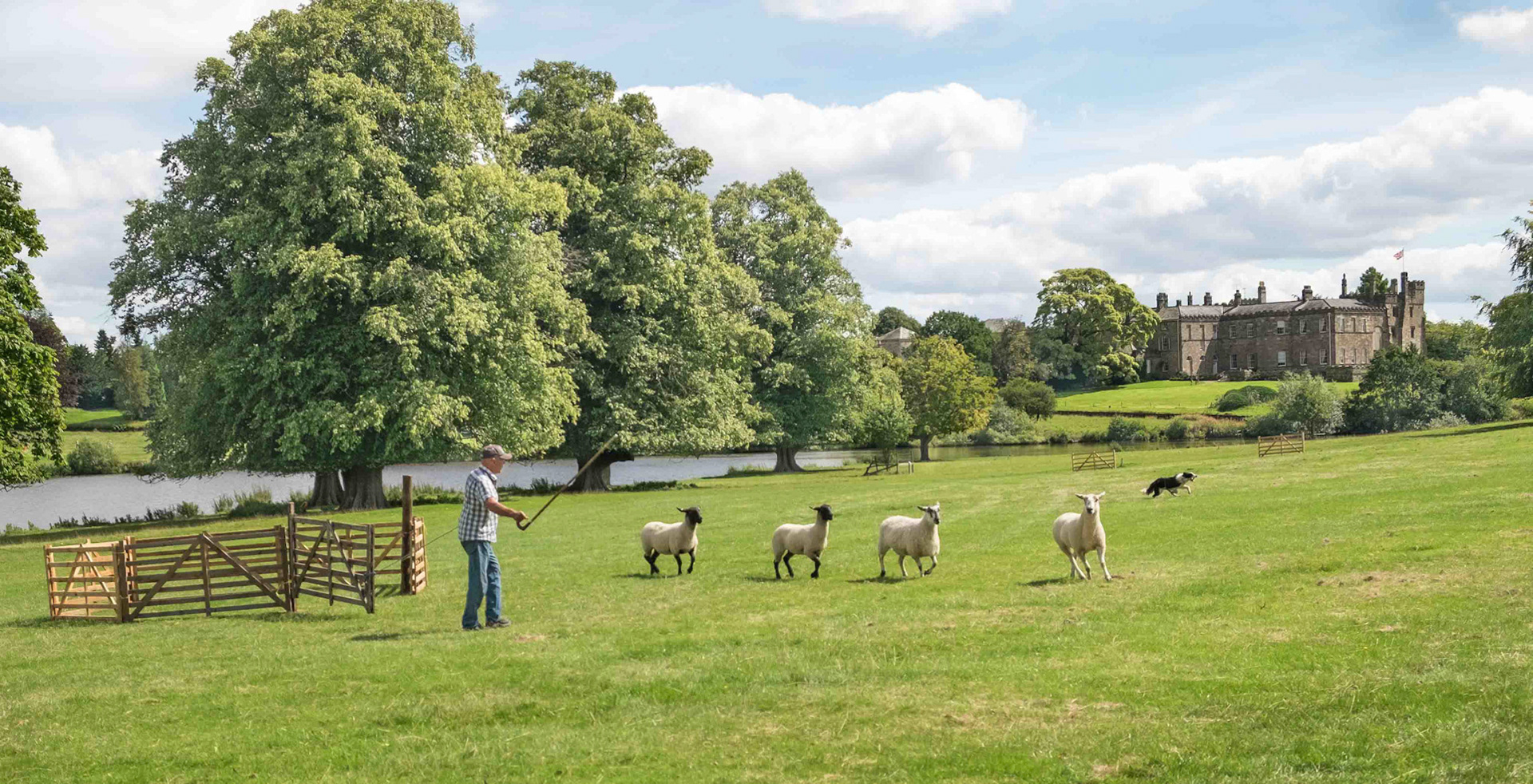 Sheepdog Trials - Ripley Castle North Yorkshire UK 2017