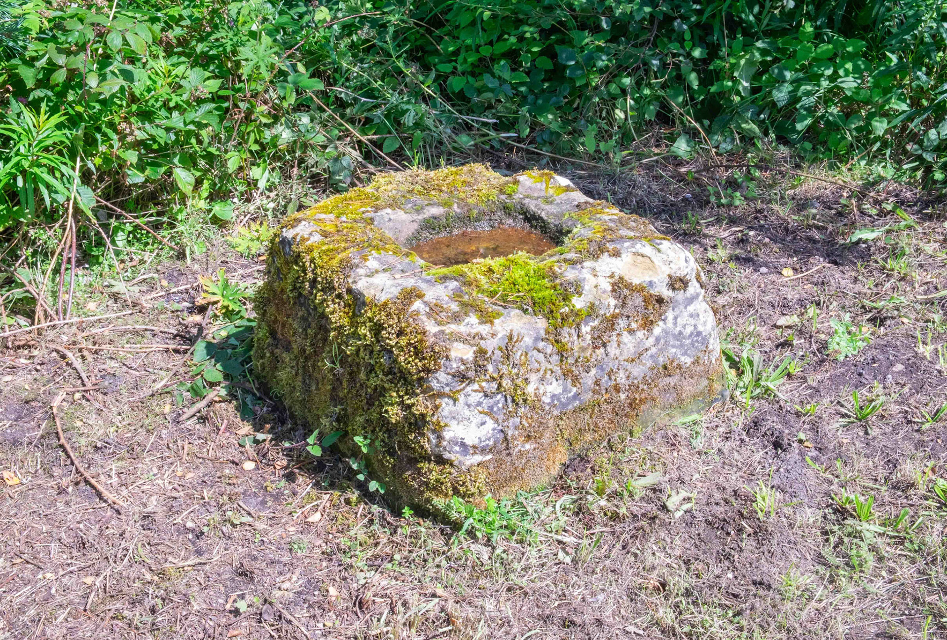 Cooper Cross - North Yorkshire UK 2023