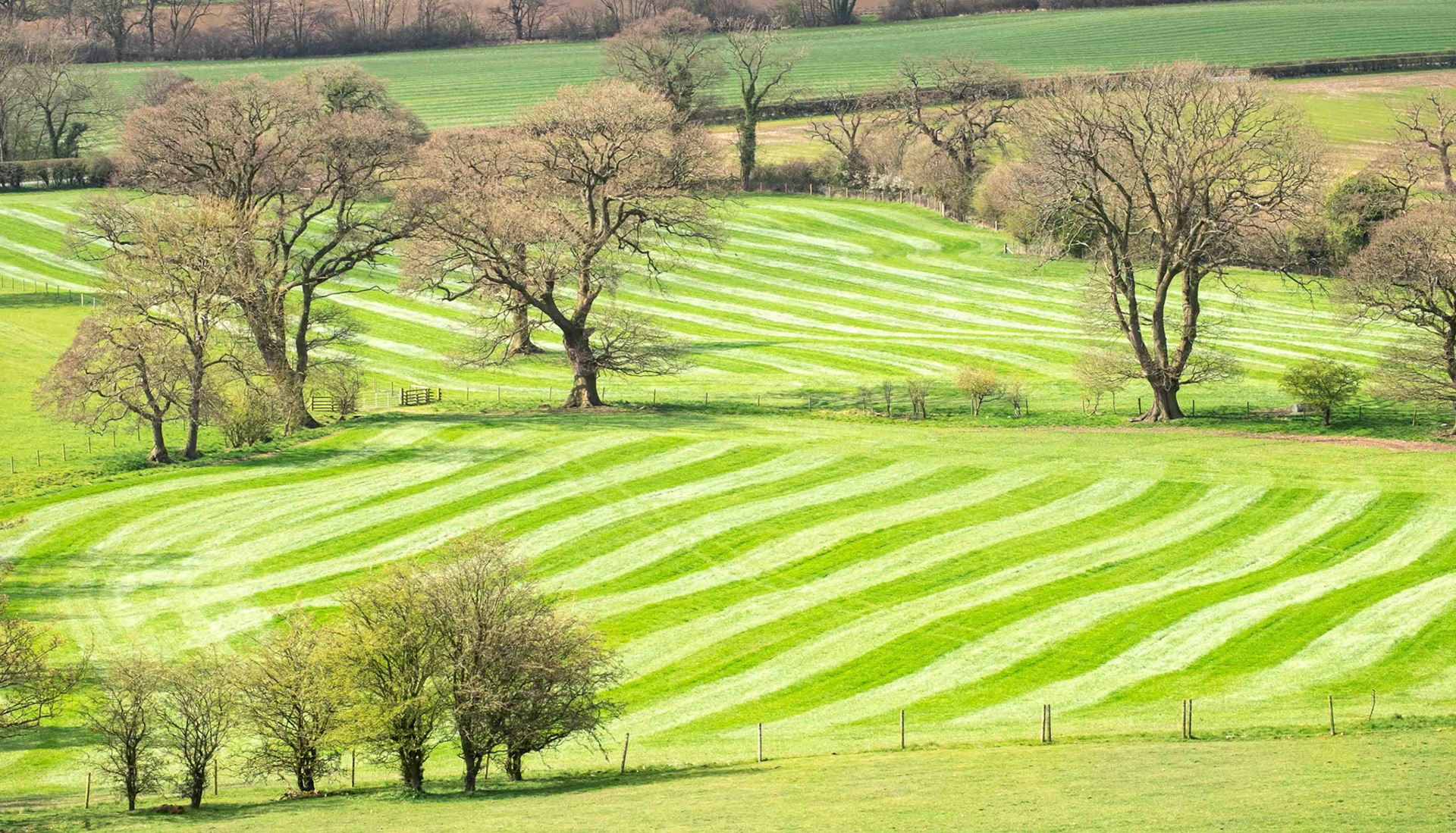 Fields - North Yorkshire UK 2021