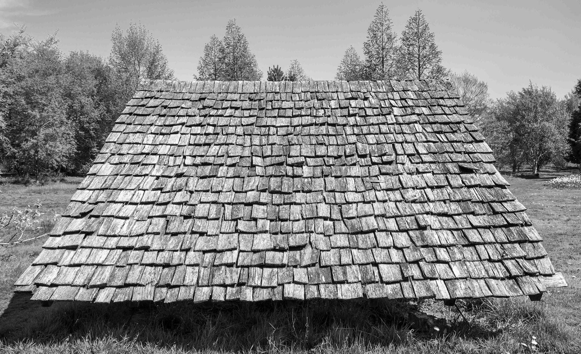 Roof - North Yorkshire UK 2018