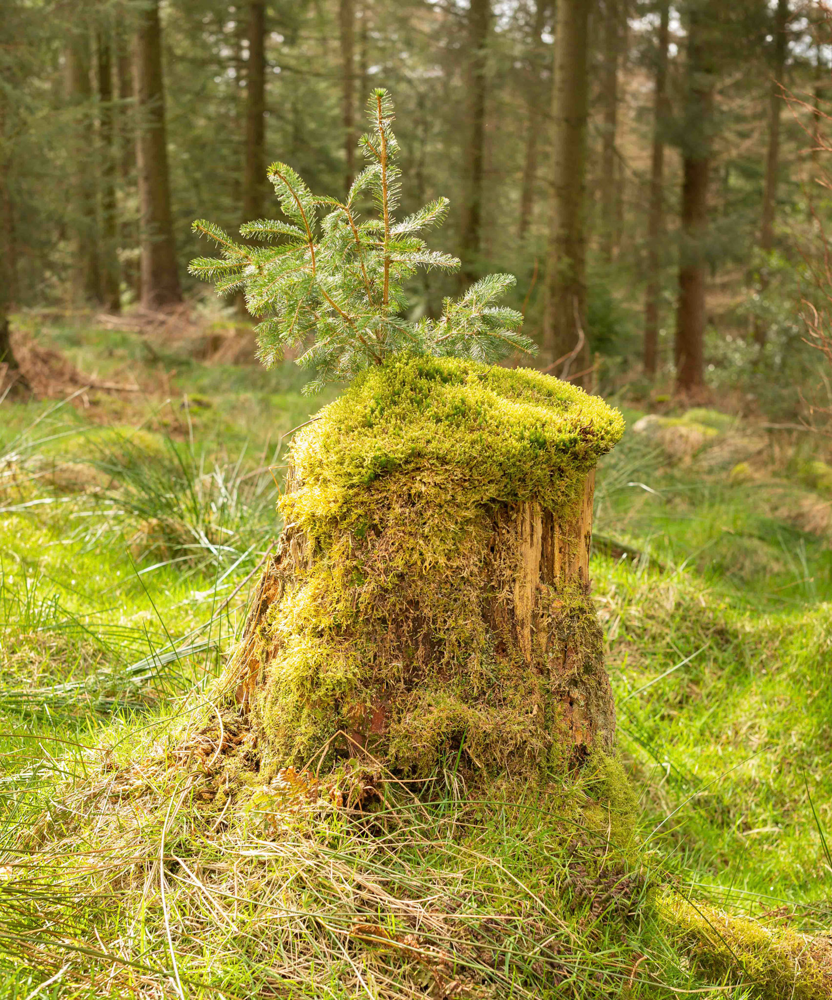 Old and New - North Yorkhire UK 2021