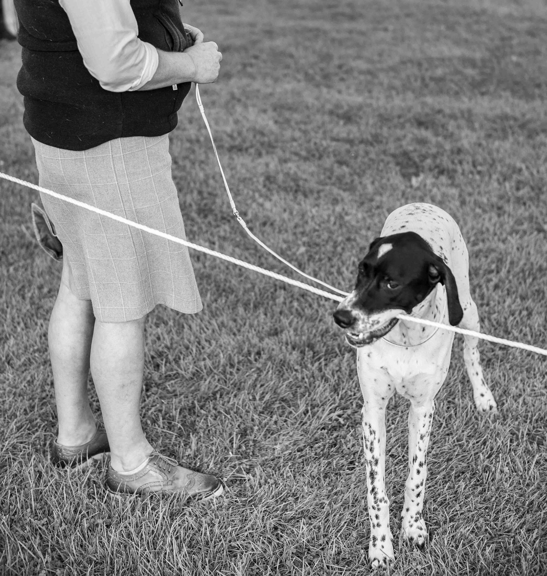 Escape - West Yorkshire UK 2017