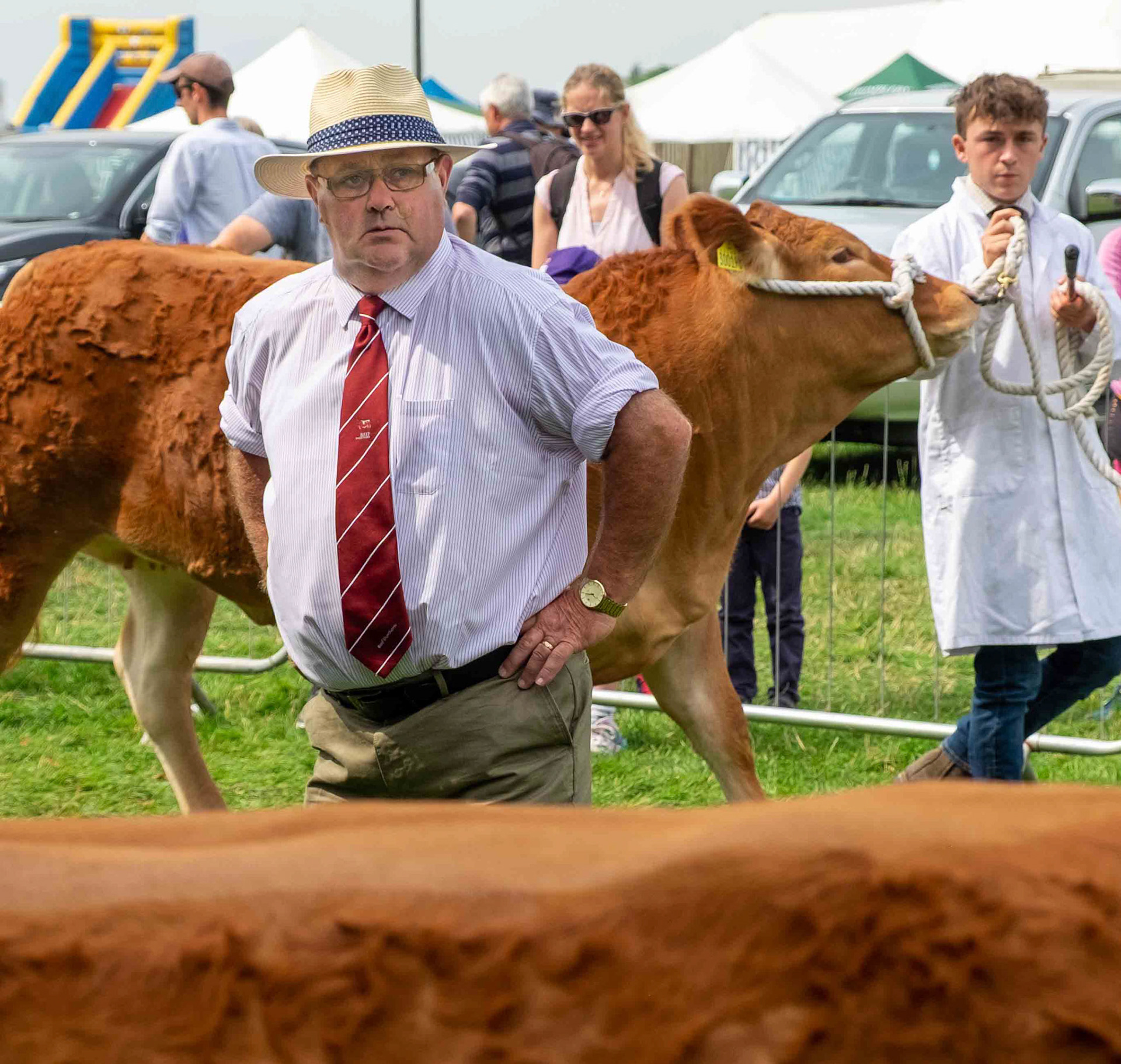 Judging - Osmotherley North Yorkshire UK