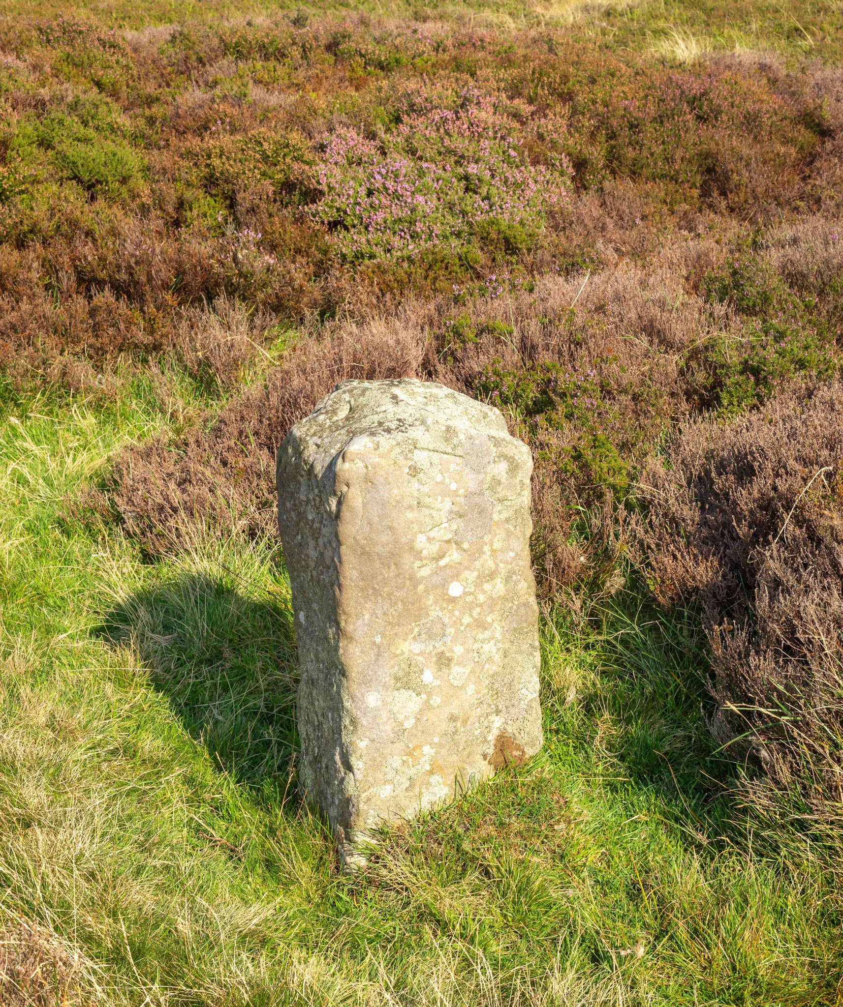 Boundary Stone - Urra Moor North Yorkshire UK 2021
