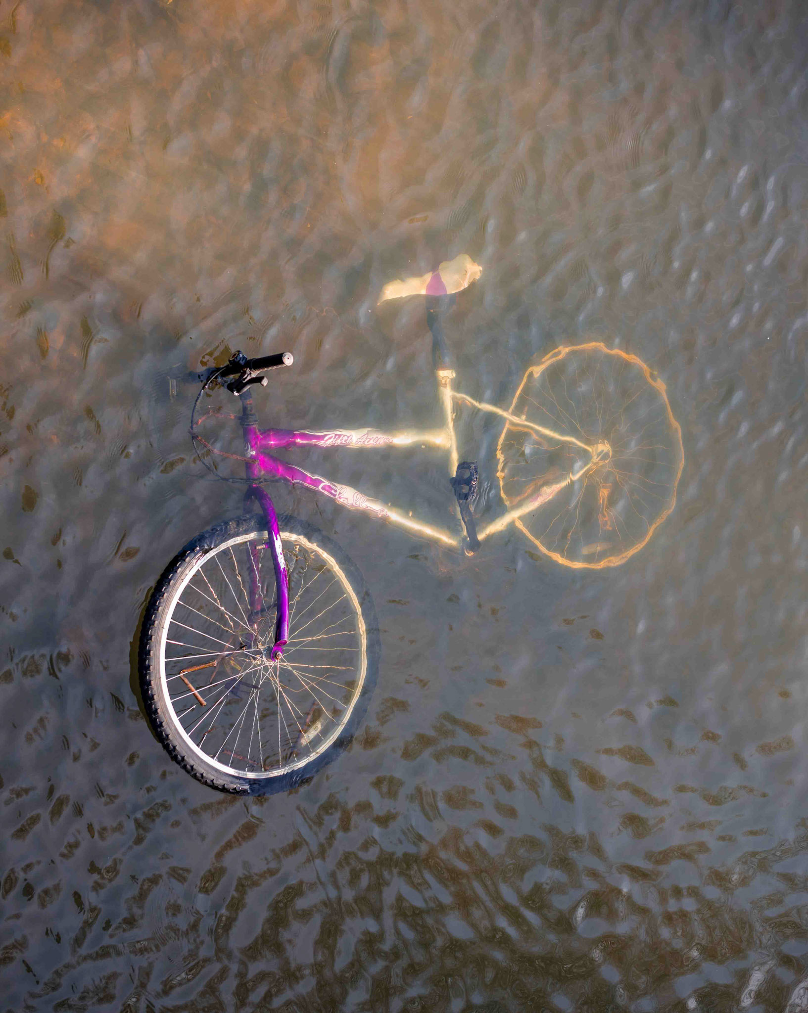 Bicycle in River Skerne - Darlington County Durham UK 2018