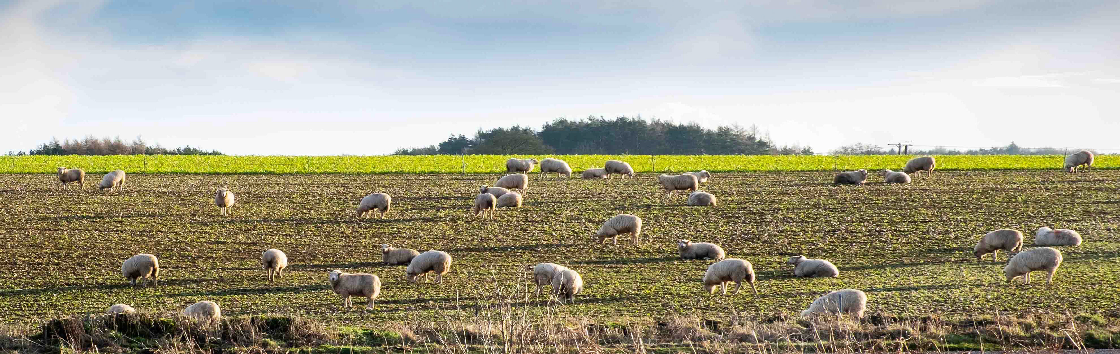 Evening Meal - North Yorkshire UK 2021