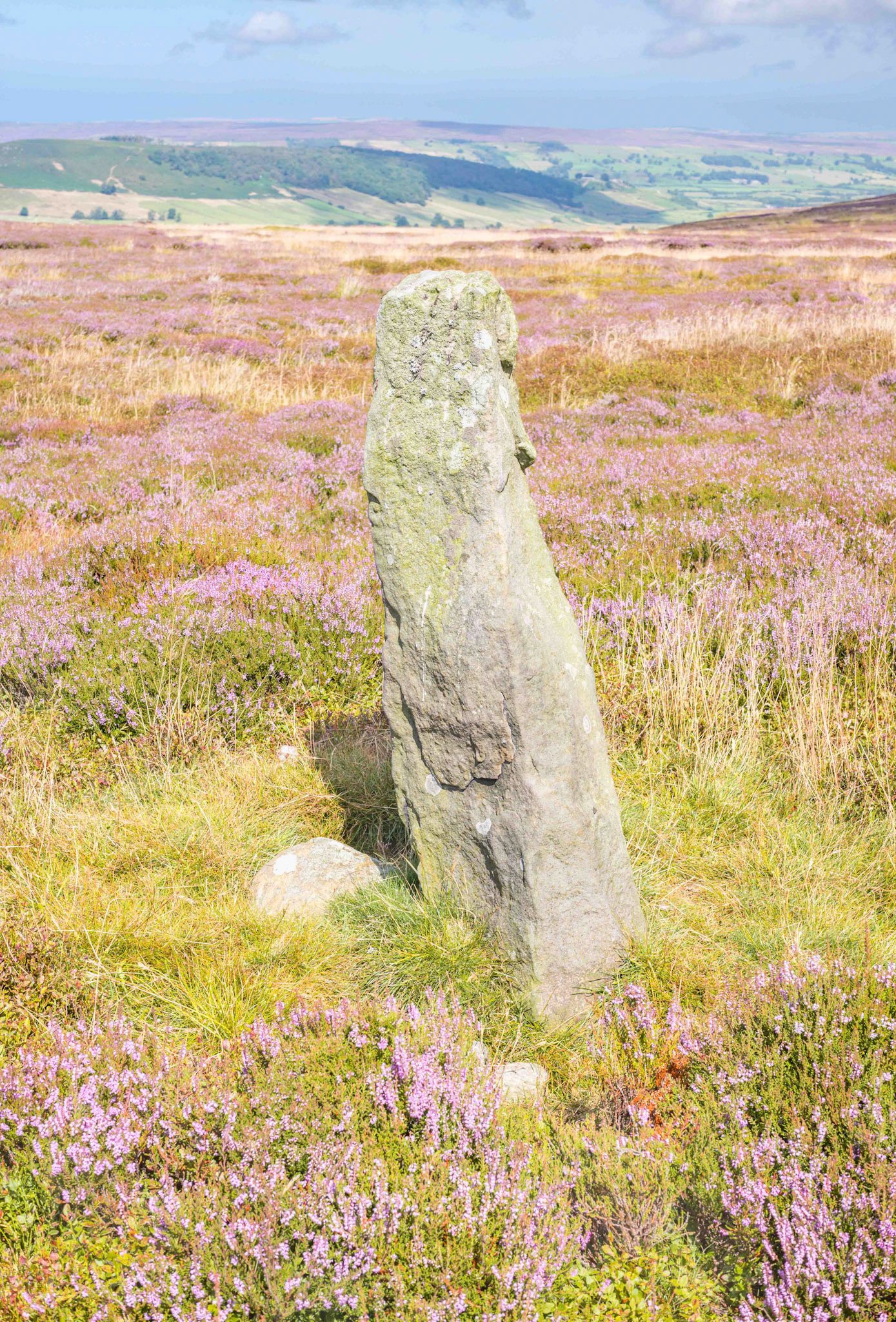 Peat Hill Marker Stone at Cock Heads - North York Moors UK 2024-08-14