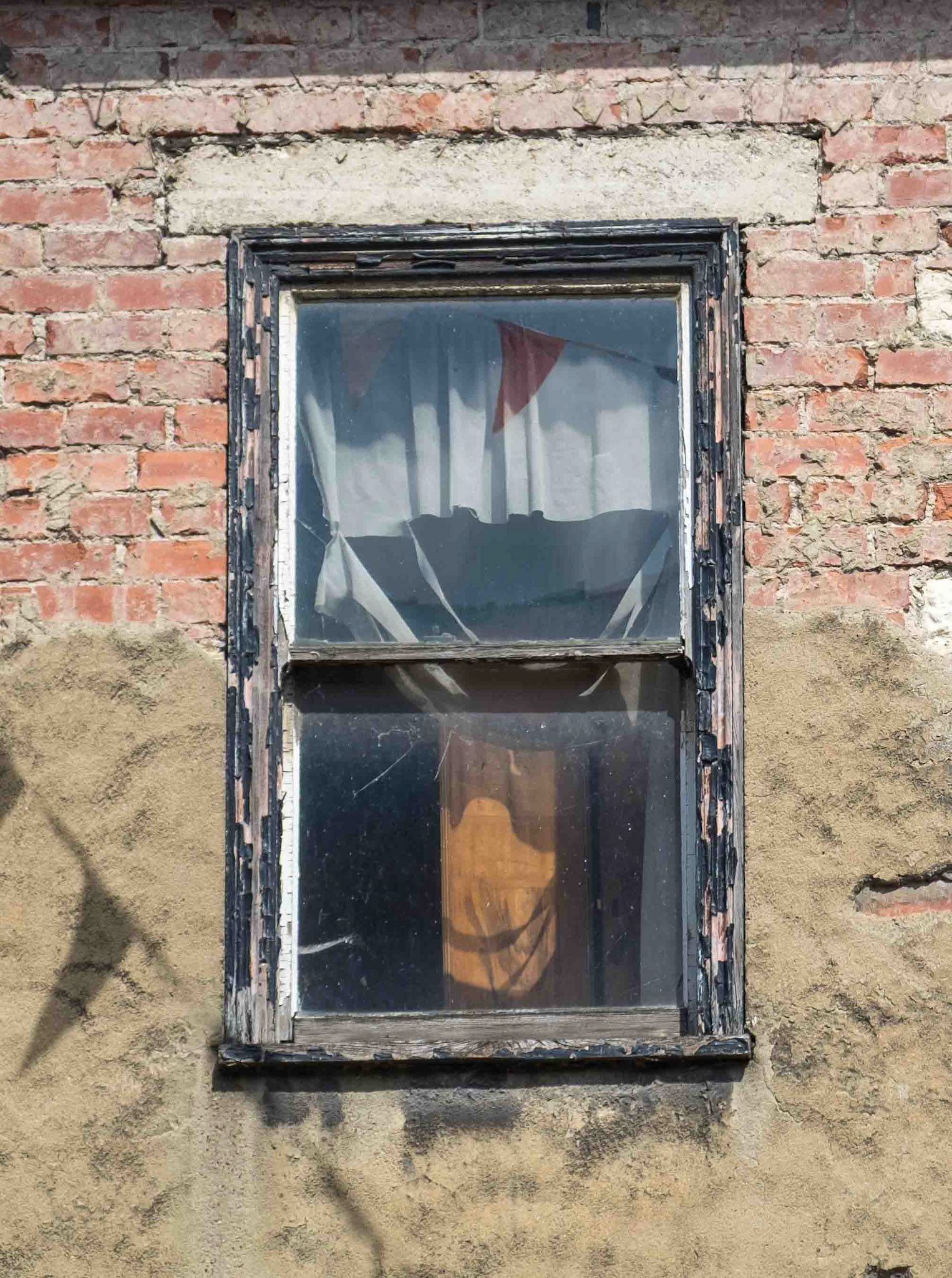 Window - Tadcaster UK 2023