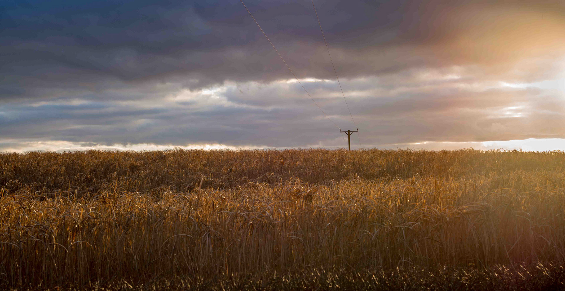 Winter Sunset near Brandsby - North Yorkshire UK 2018