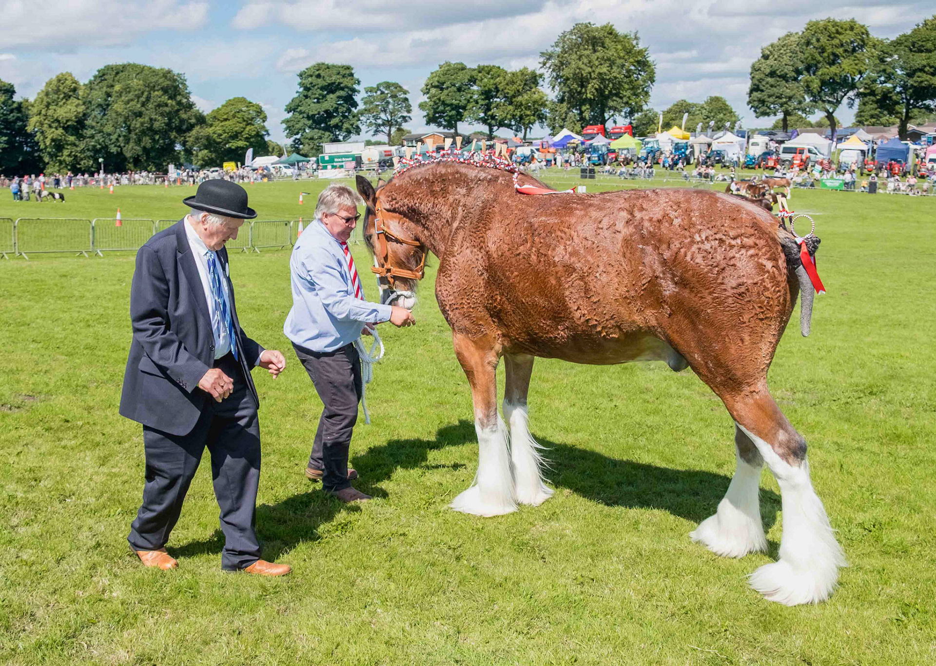 The Judge - County Durham 2024
