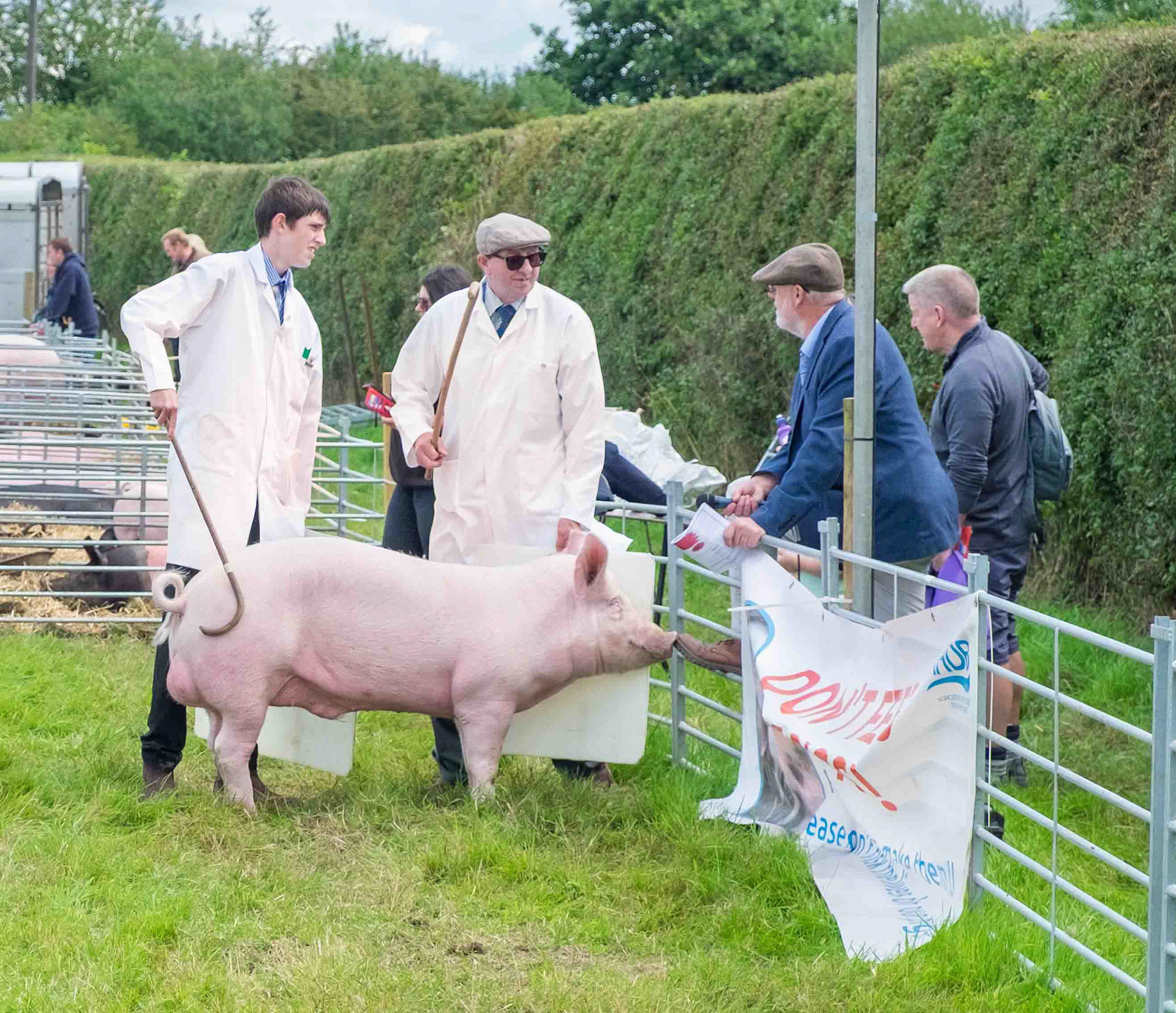 Shoe Smelling - Tockwith UK