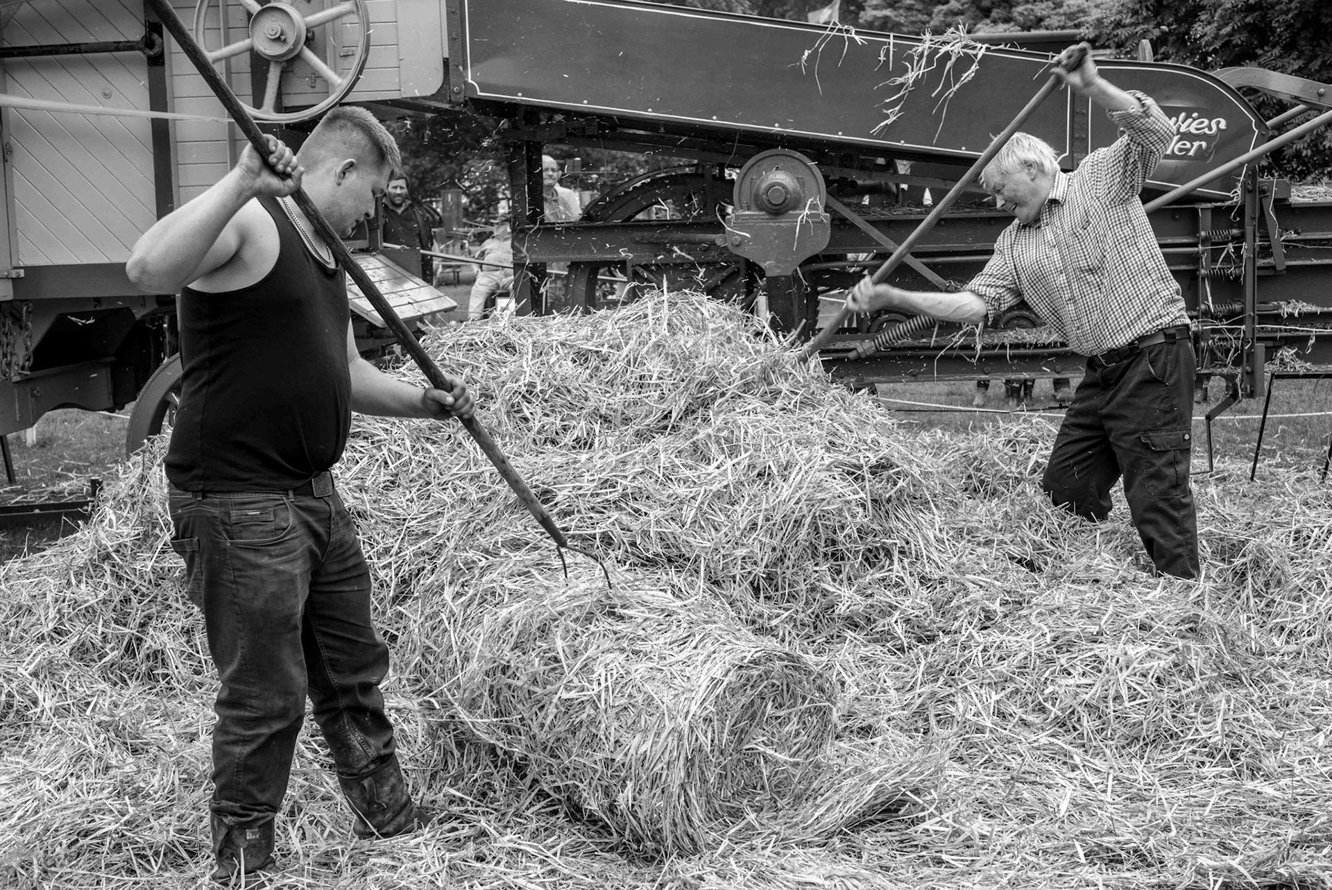 Feeding the Baler - North Yorkshire UK