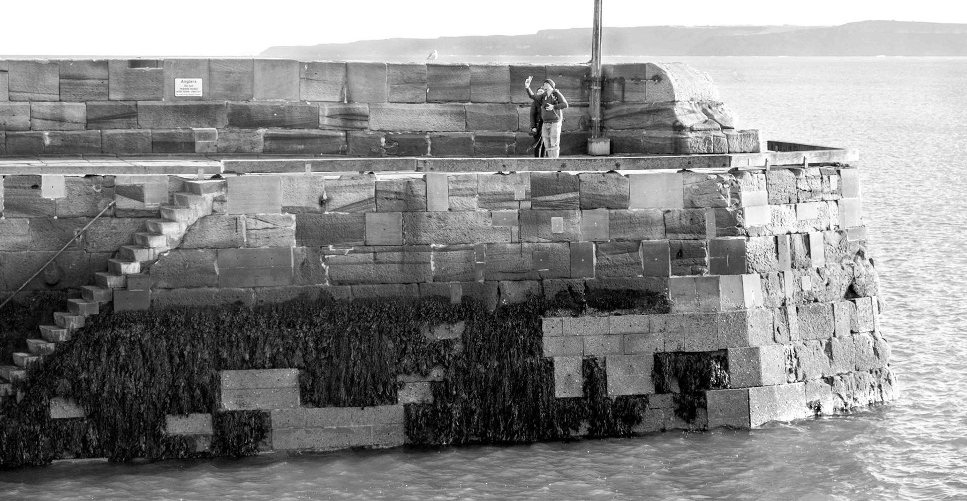 Selfie and Seagull - Scarborough North Yorkshire UK