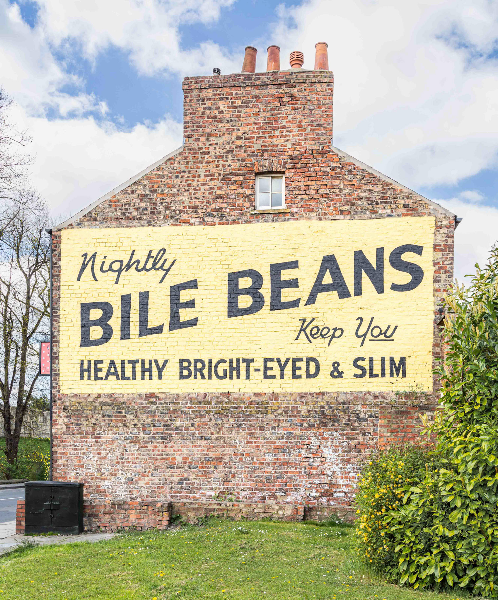 Bile Beans Advert - York UK 2014