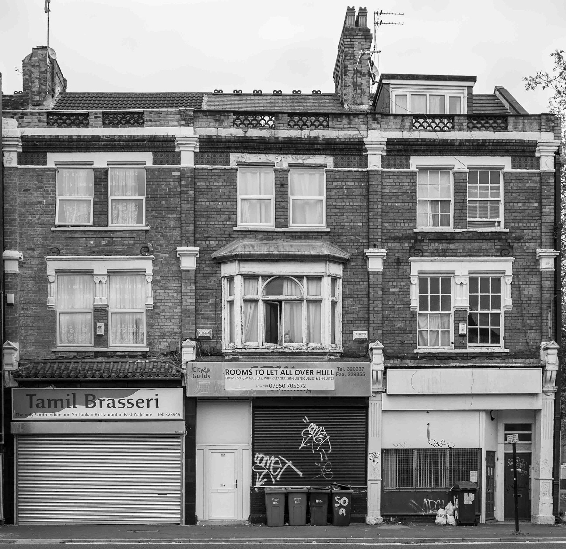 Gazing out of the Window - Hull East Yorkshire