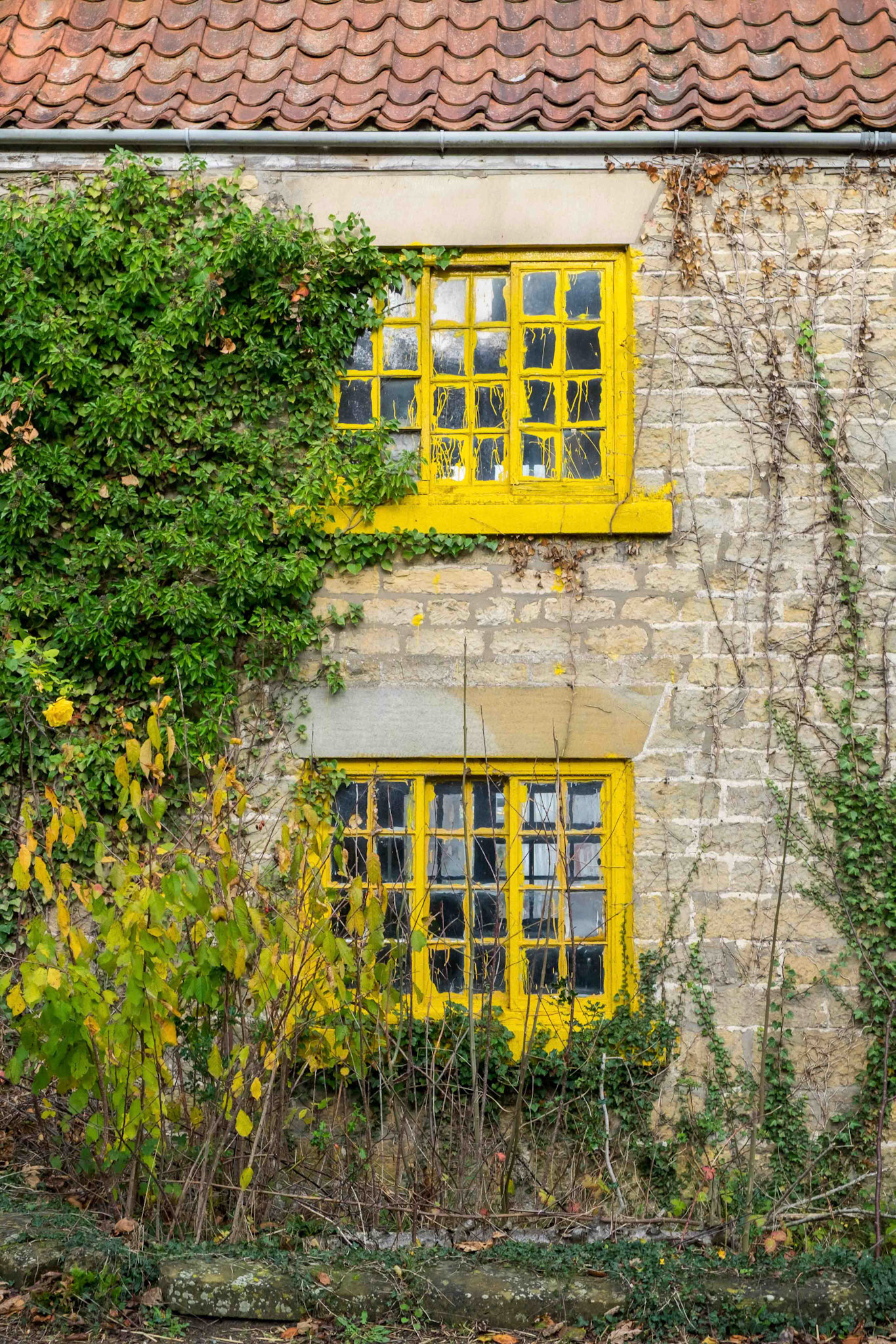 Windows - Appleton-le-Street North Yorkshire UK 2017