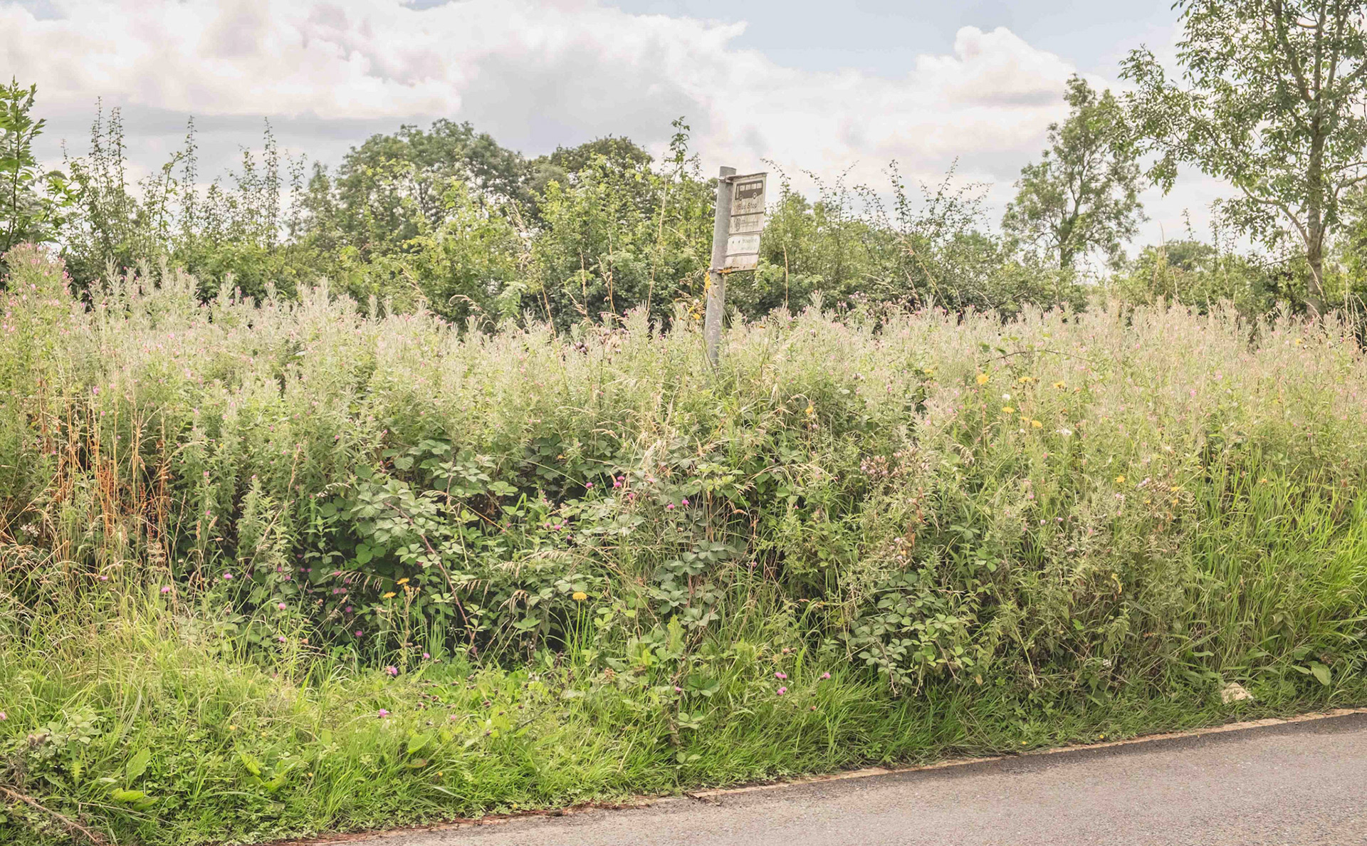Rural Bus Stop - UK 2019