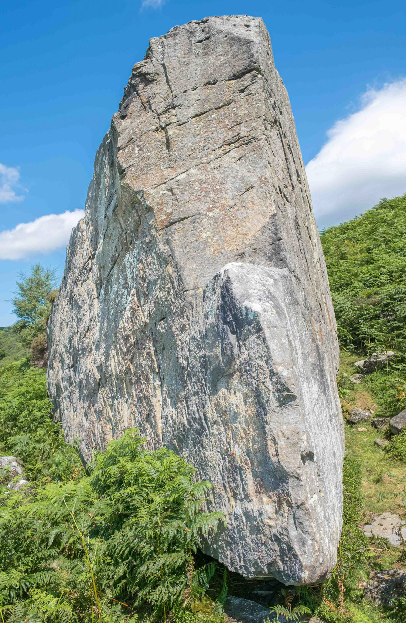 Ship Stone at Tripsdale looking Northerly - North York Moors UK - North York Moors UK