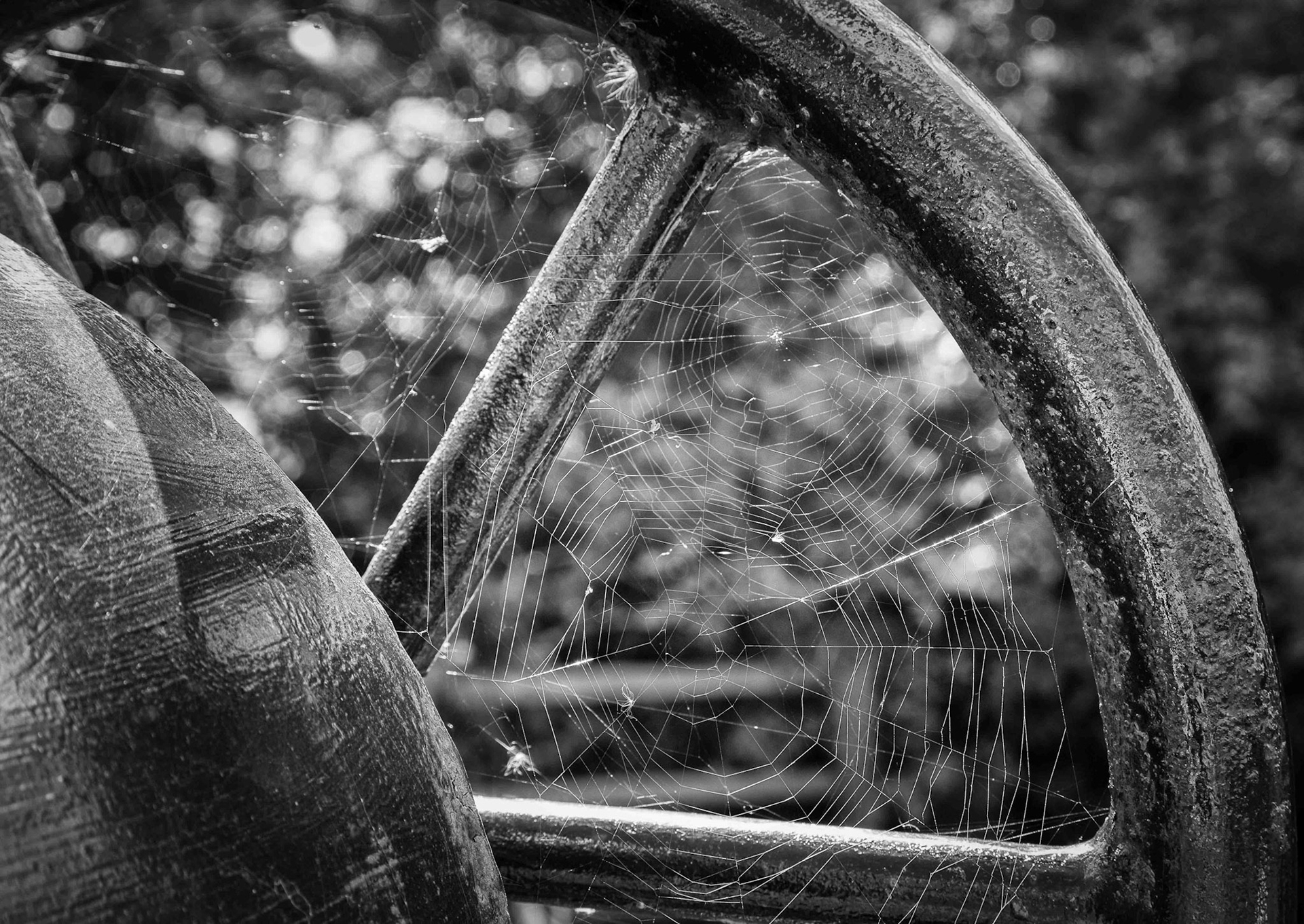Old Wheel with Cobwebs - Pocklington Canal East Yorkshire UK 2013