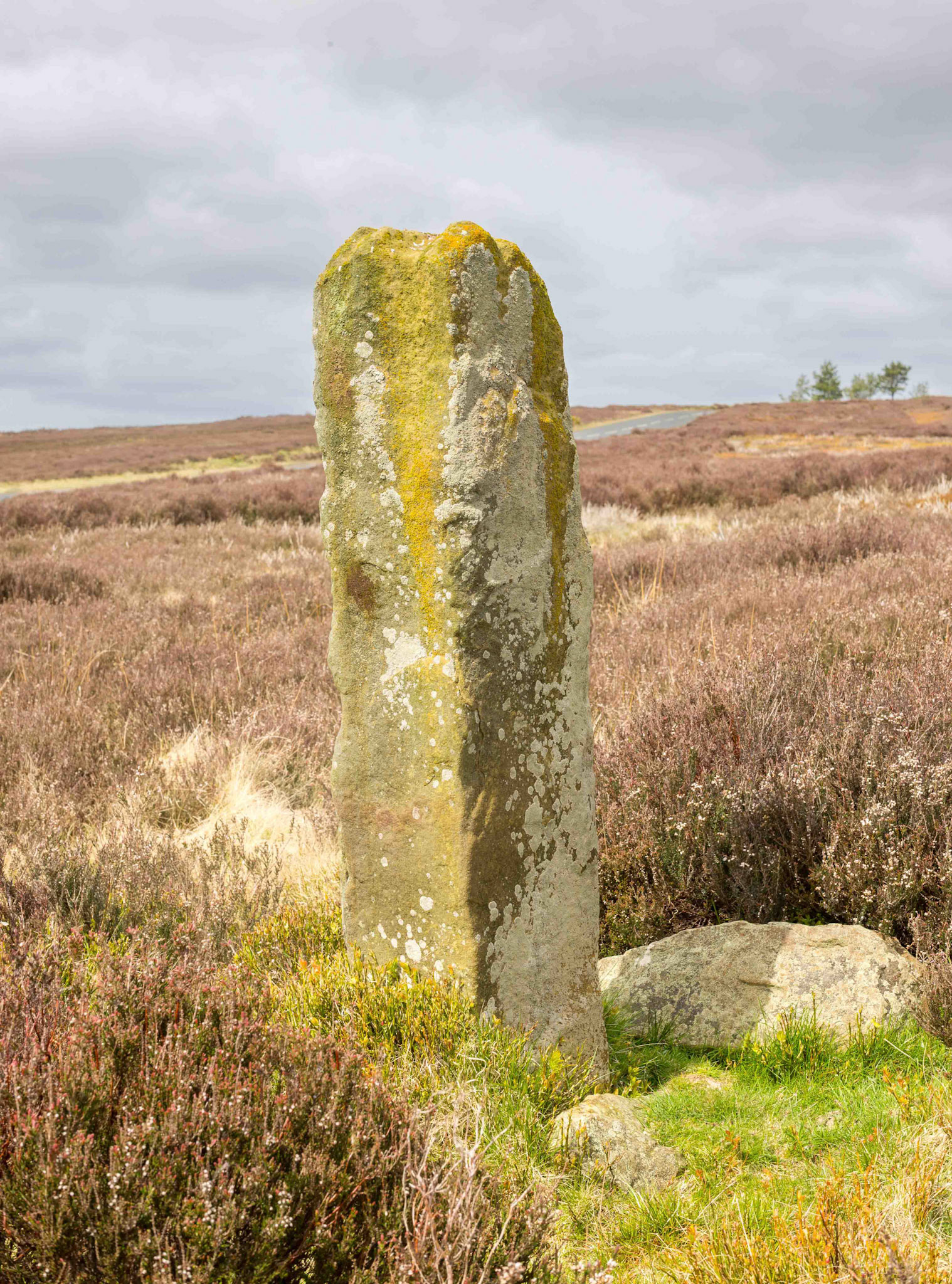 Blakey Road South Marker Stone BS1 Looking North West - North York Moors UK 2024