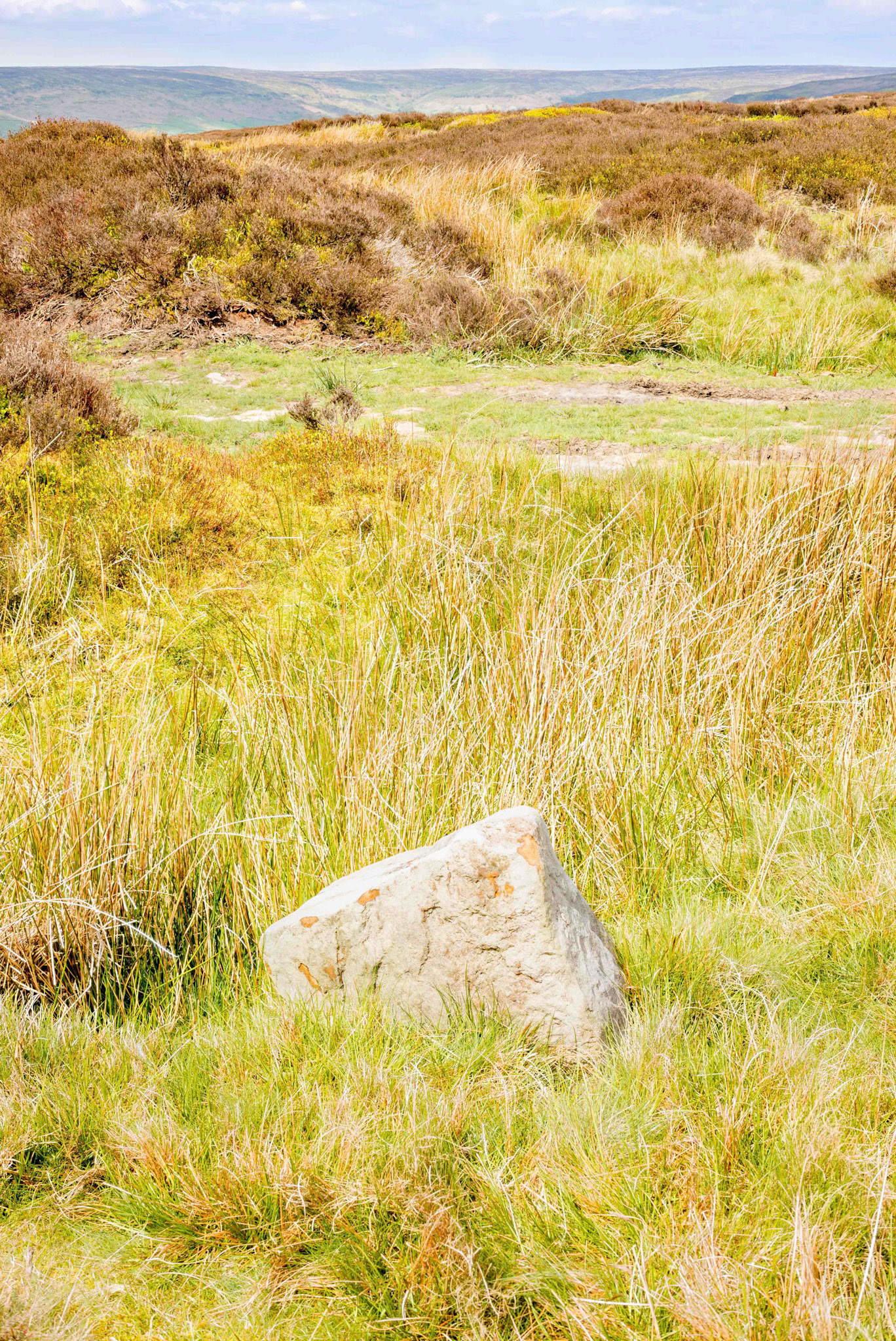Natural Stone near Stone Haggs SS1 North York Moors UK 2024