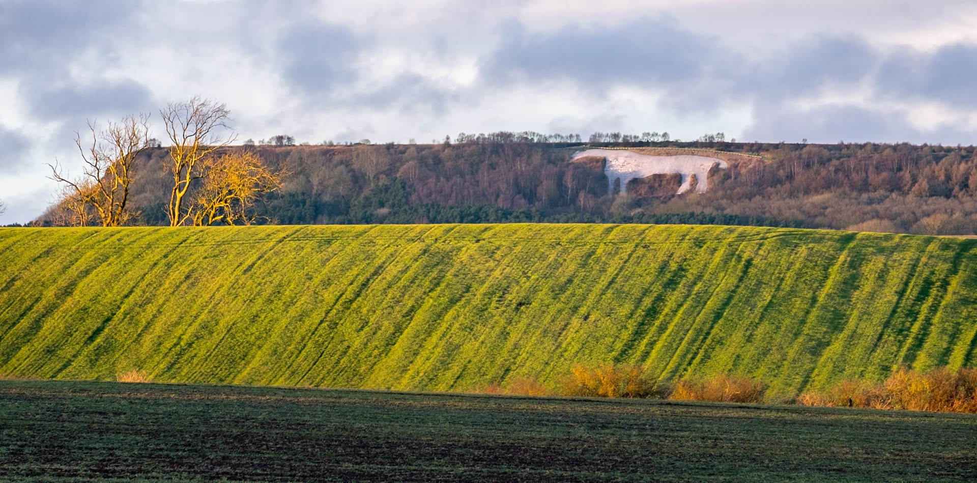 The Kilburn White Horse - North Yorkshire UK 2017