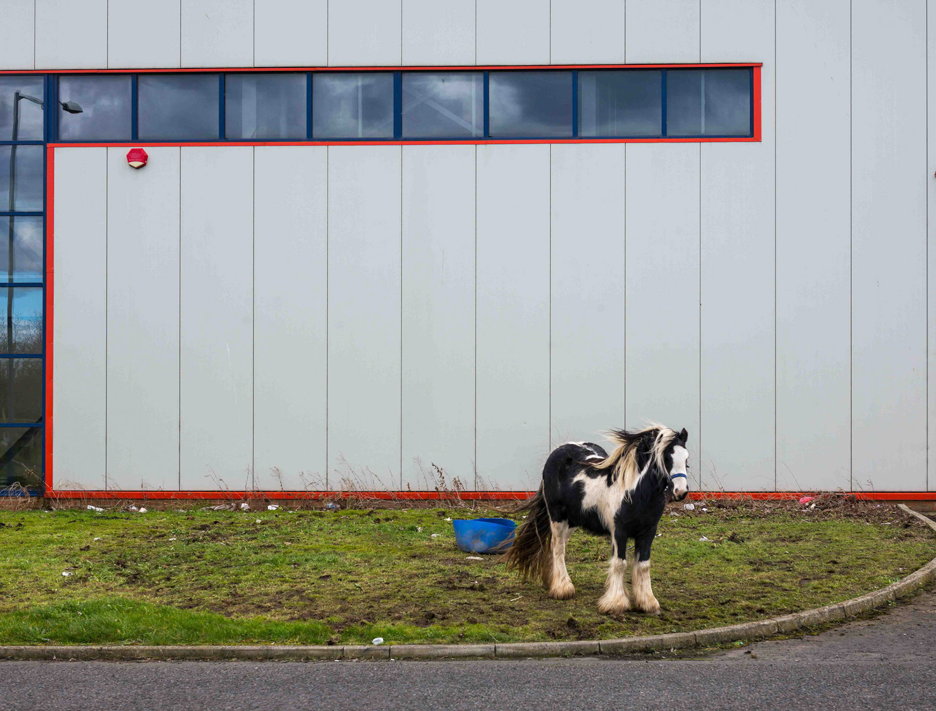 Gypsy Horse - Middlesborough Tyne and Wear UK 2019