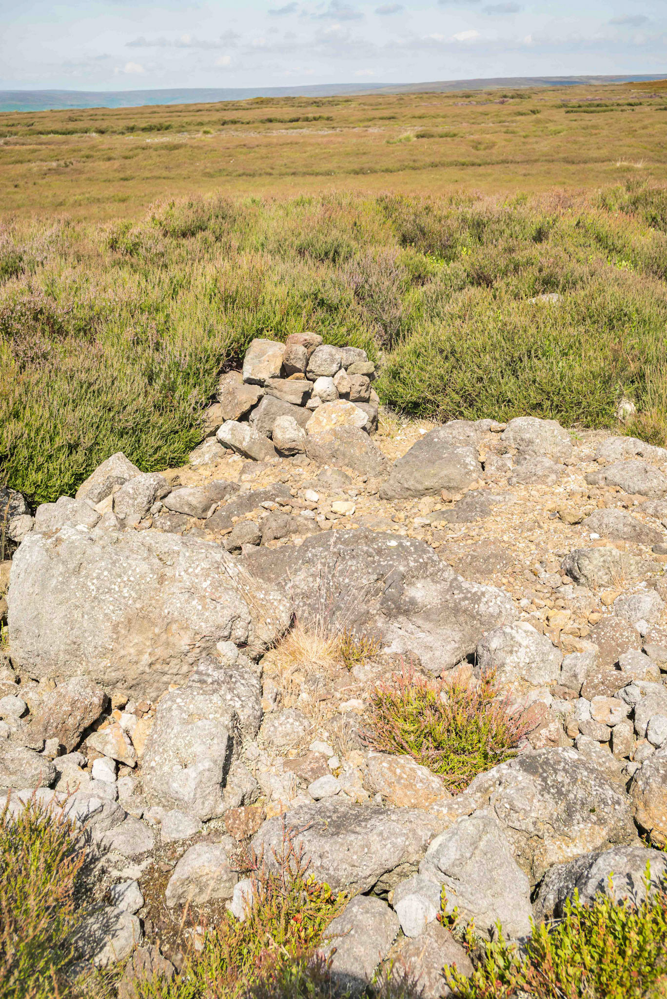 Pike Howe on Blakey Ridge Close View North View - North York Moors UK 2024