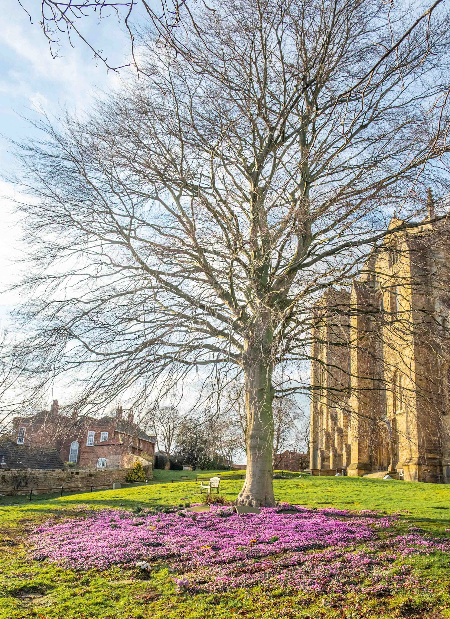 Ripon - North Yorkshire UK 2023