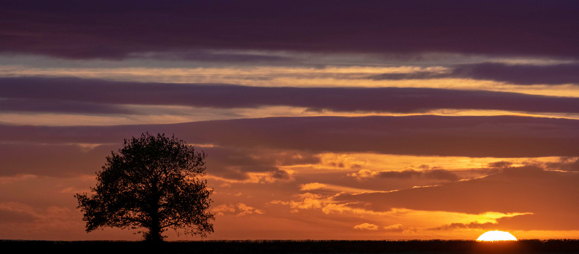 Landscape at Sunset - Yearsley North Yorkshire UK 2017