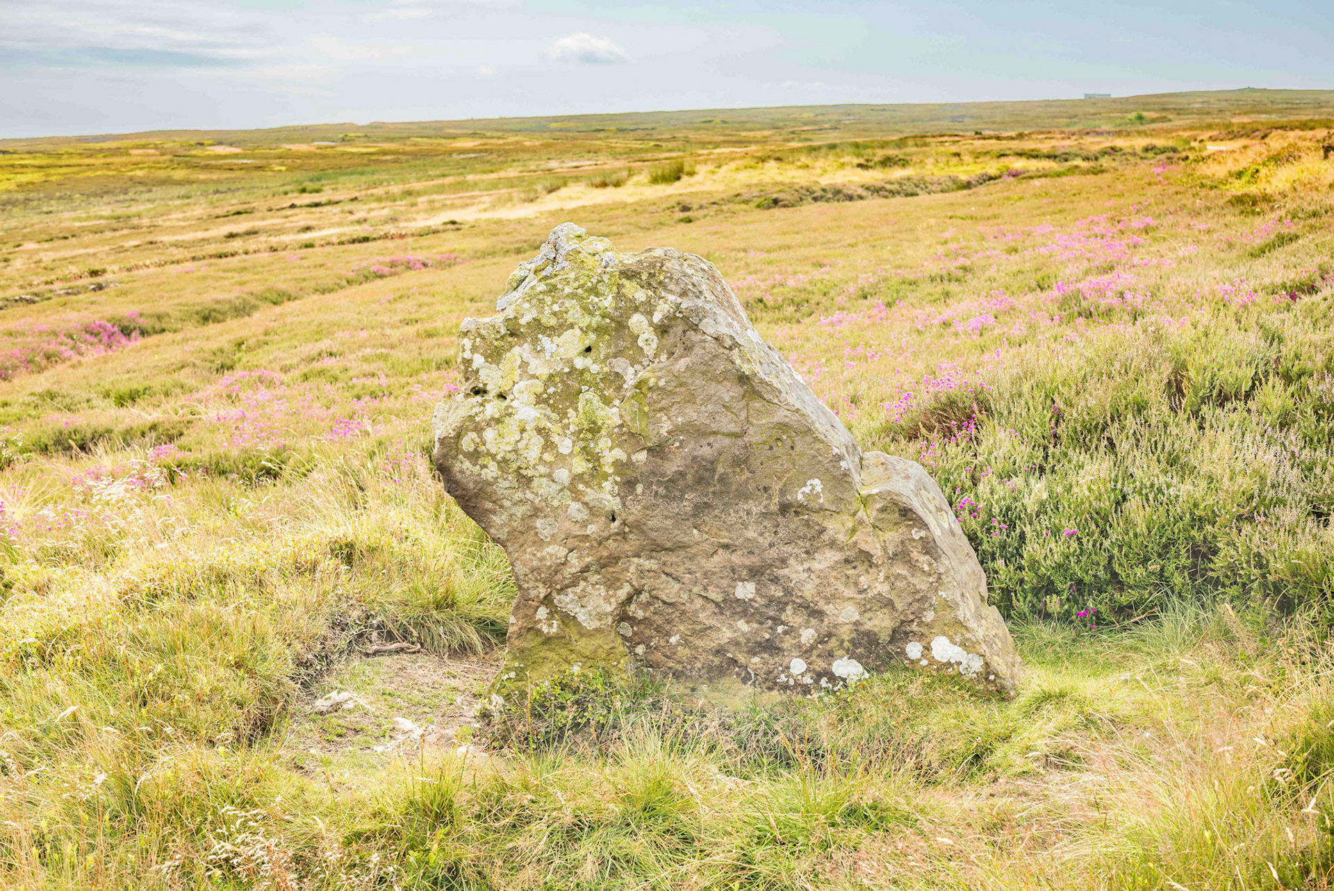 Rokan Stone North Face - Glaisdale Rigg North York Moors UK 2024