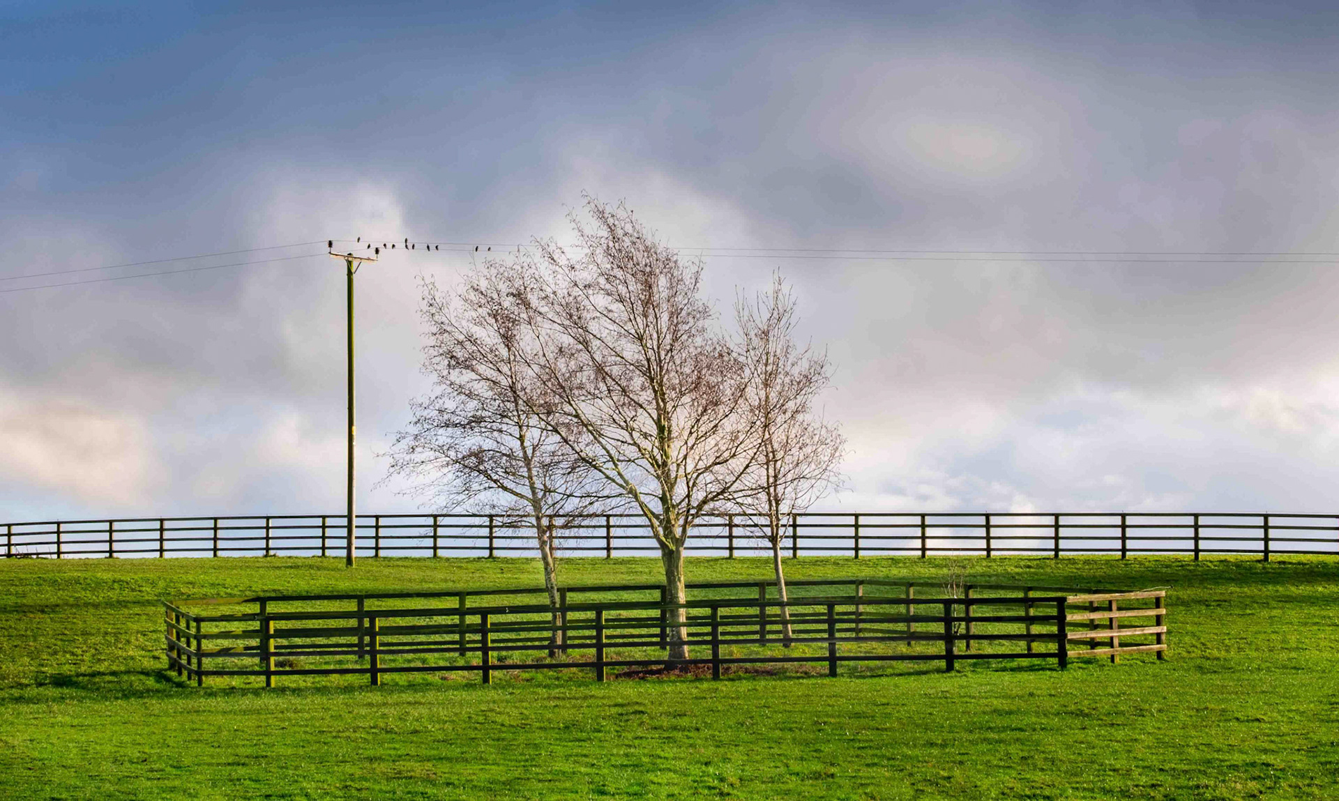 Landscape near Yearsley - North Yorkshire UK 2020