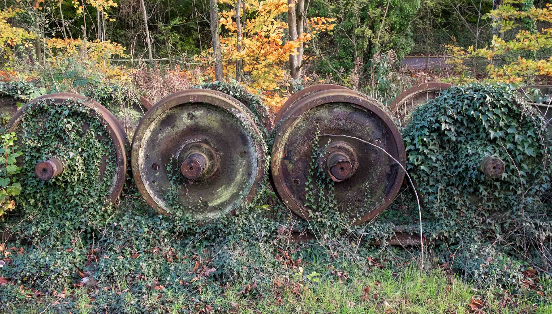The Cultivation of Railway Wheels - Pickering North Yorkshire UK 2017