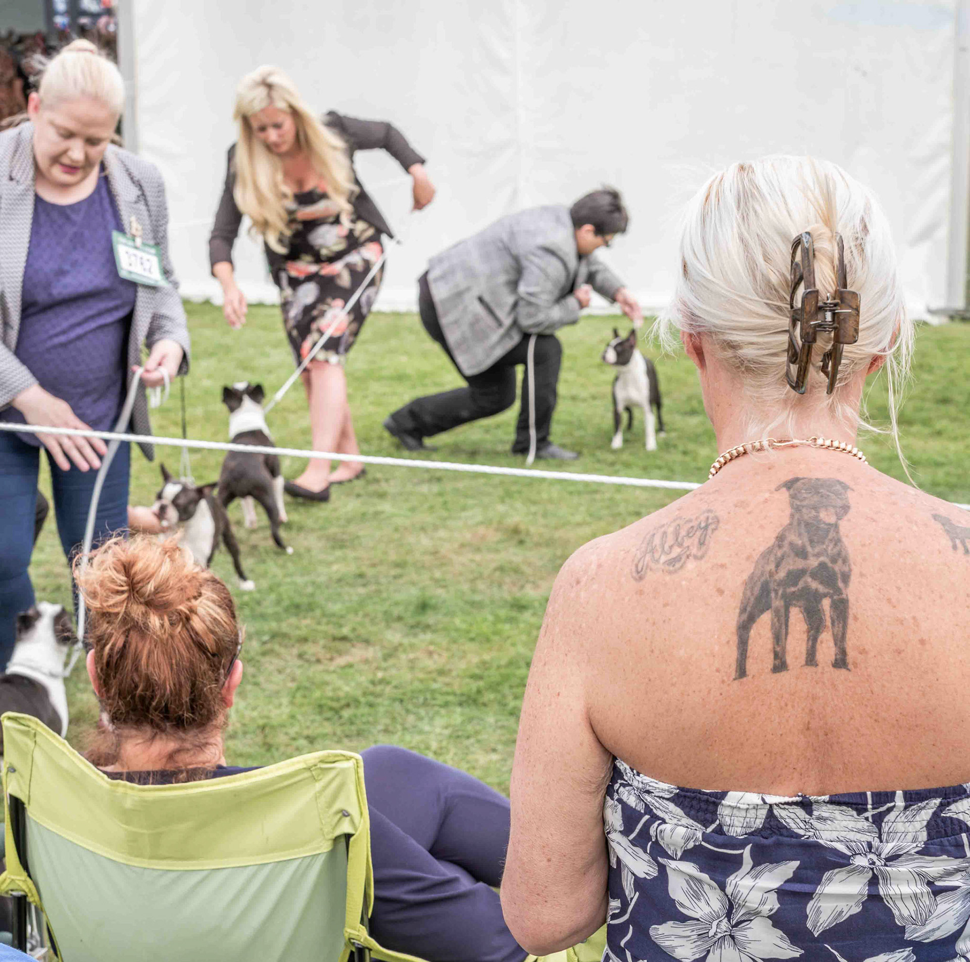 Dog Show #2 - Harewood House Derbyshire UK