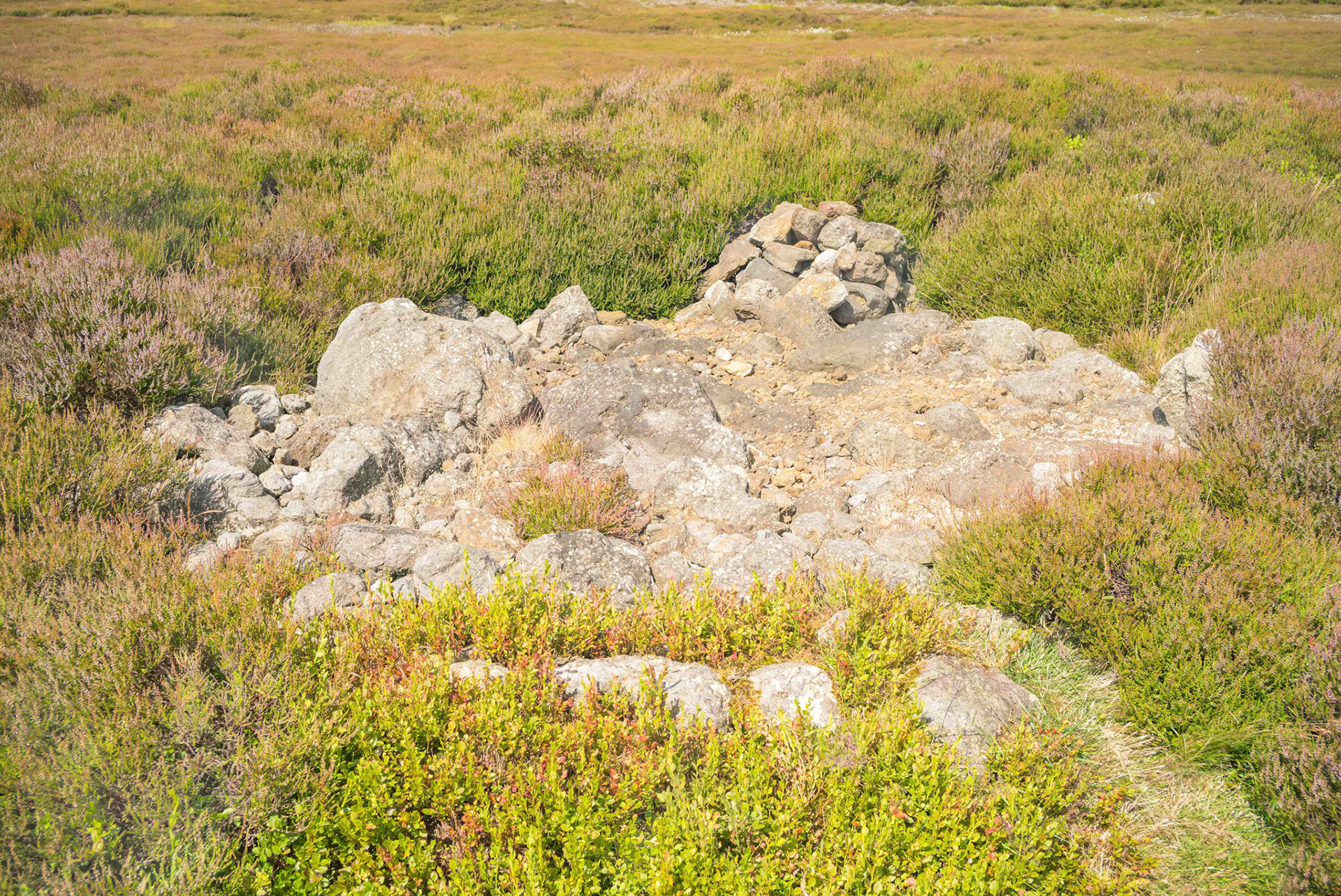 Pike Howe on Blakey Ridge Close View - North York Moors UK 2024