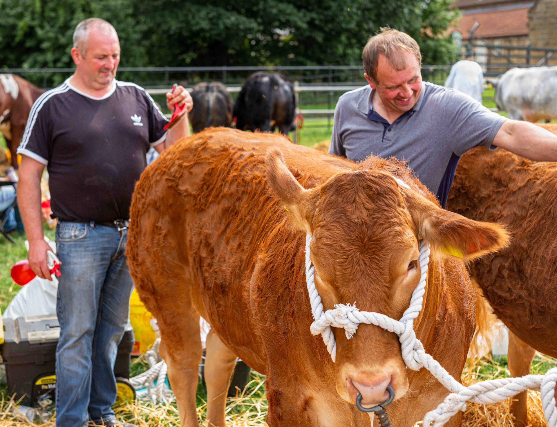 Arse Wiping - North Yorkshire UK