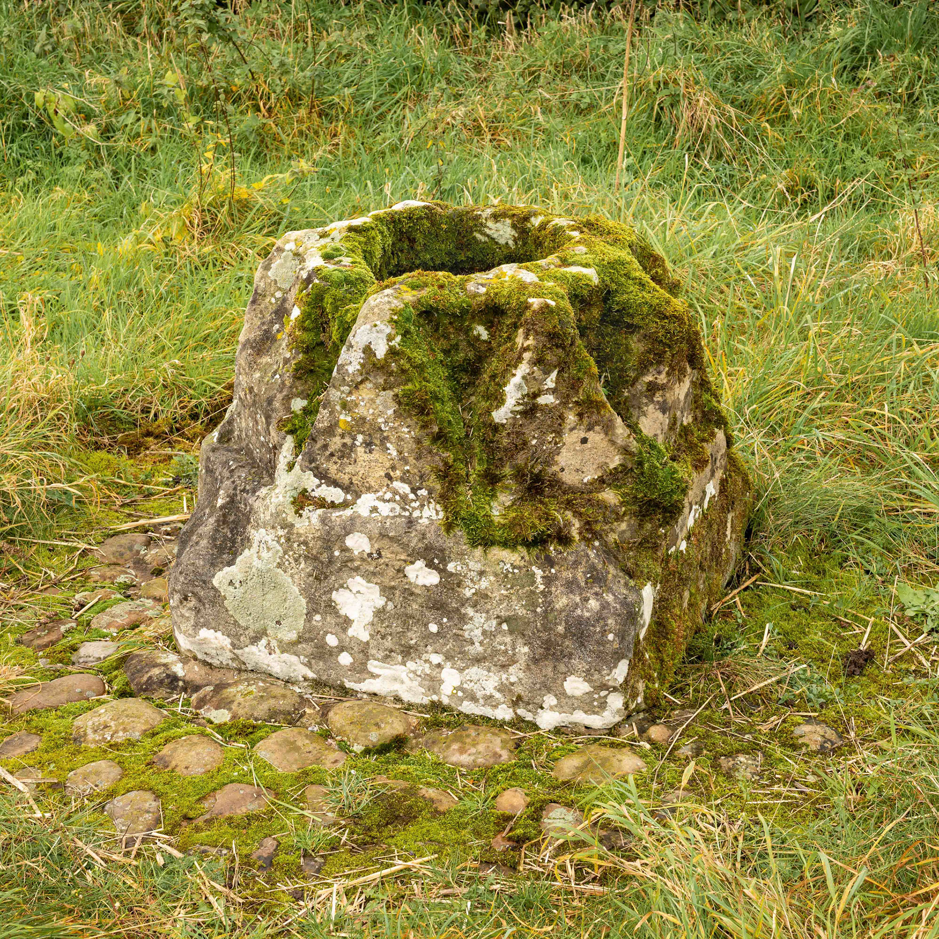 Griff Cross - North York Moors UK 2020
