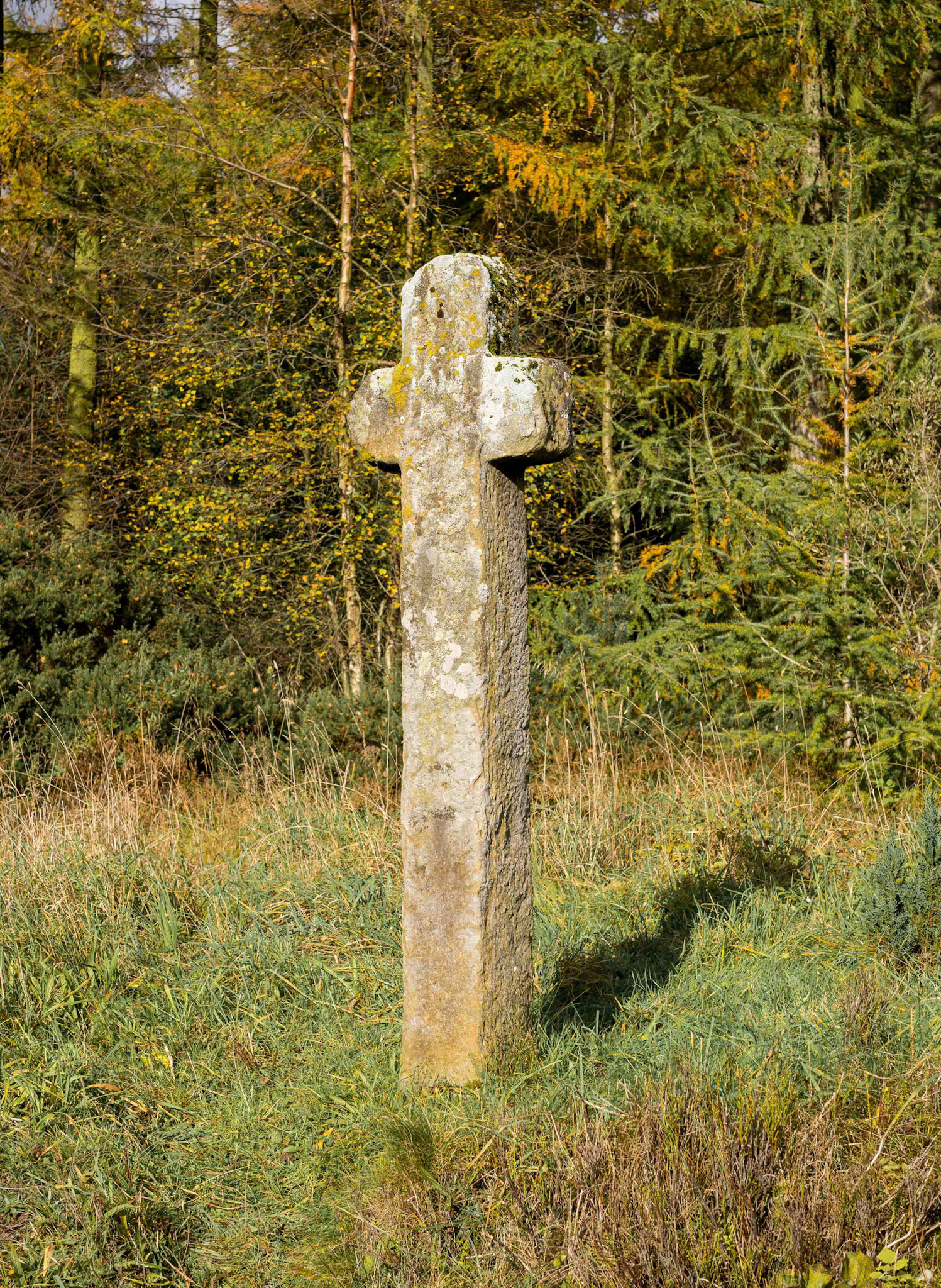Mauley Cross - Cropton Forest North York Moors UK 2020