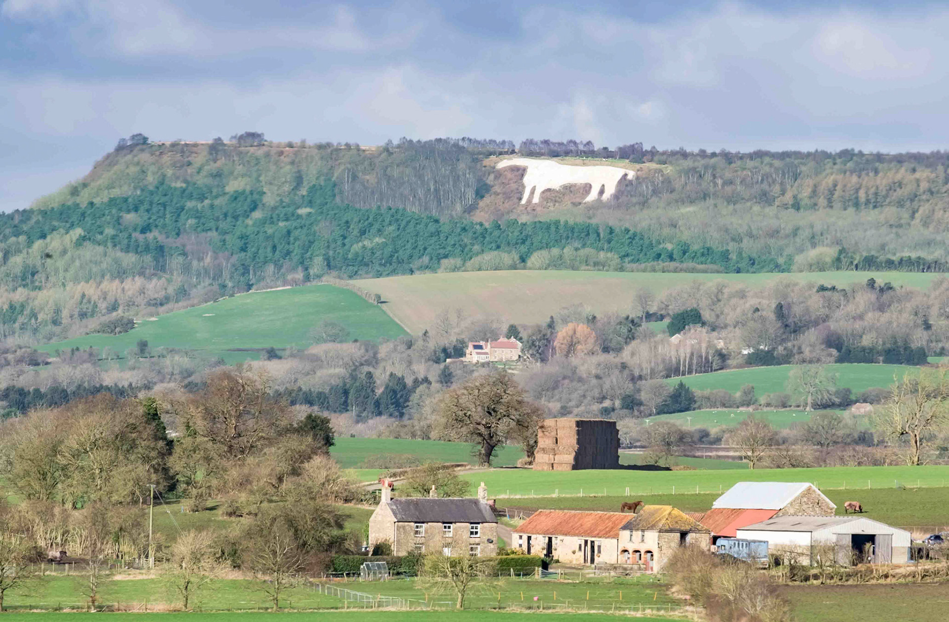 The Kilburn White Horse - from Husthwaite North Yorkshire UK 2024