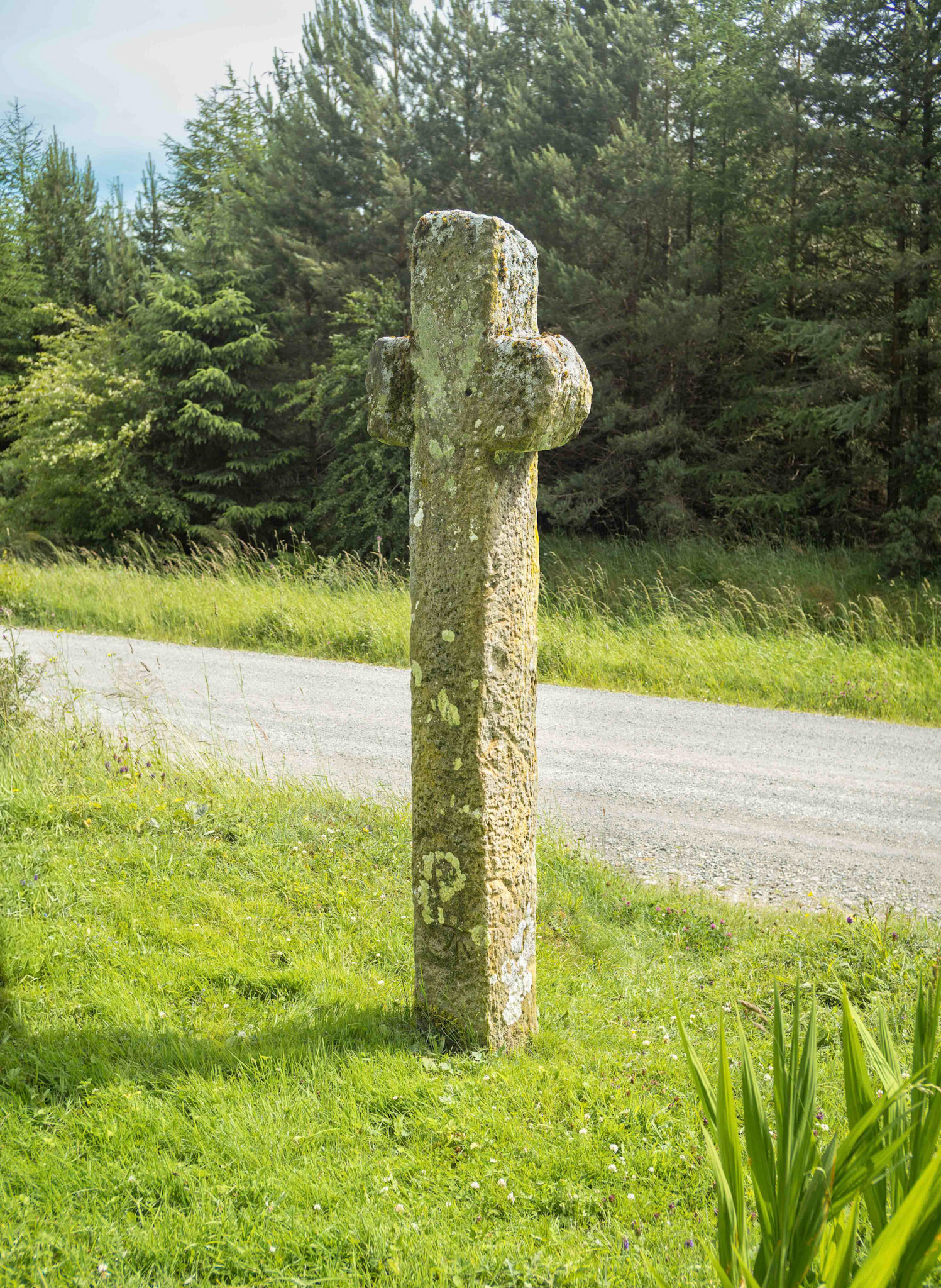 Mauley Cross Back View - Cropton Forest North Yorkshire UK 2024
